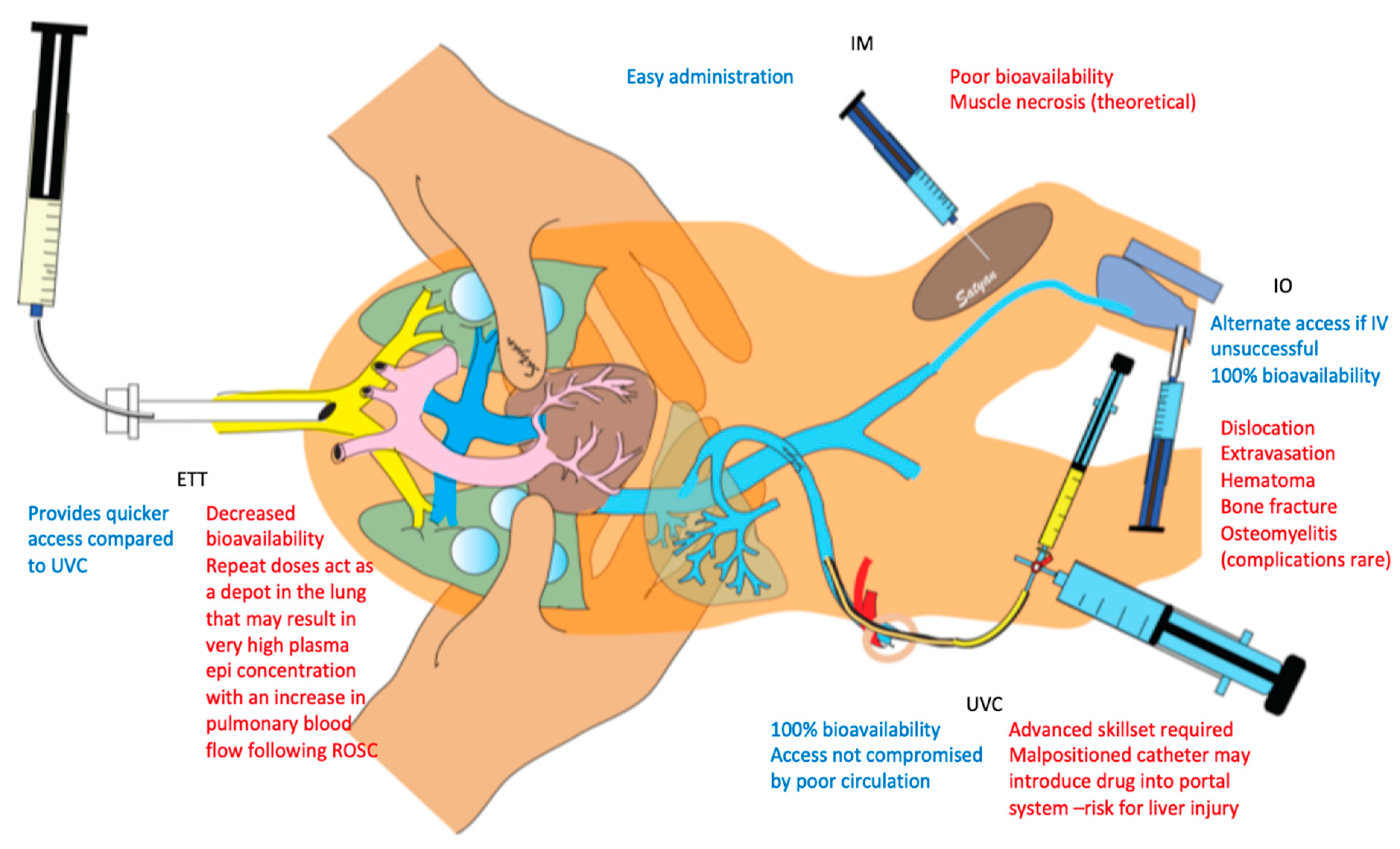 Children 06 00051 g002