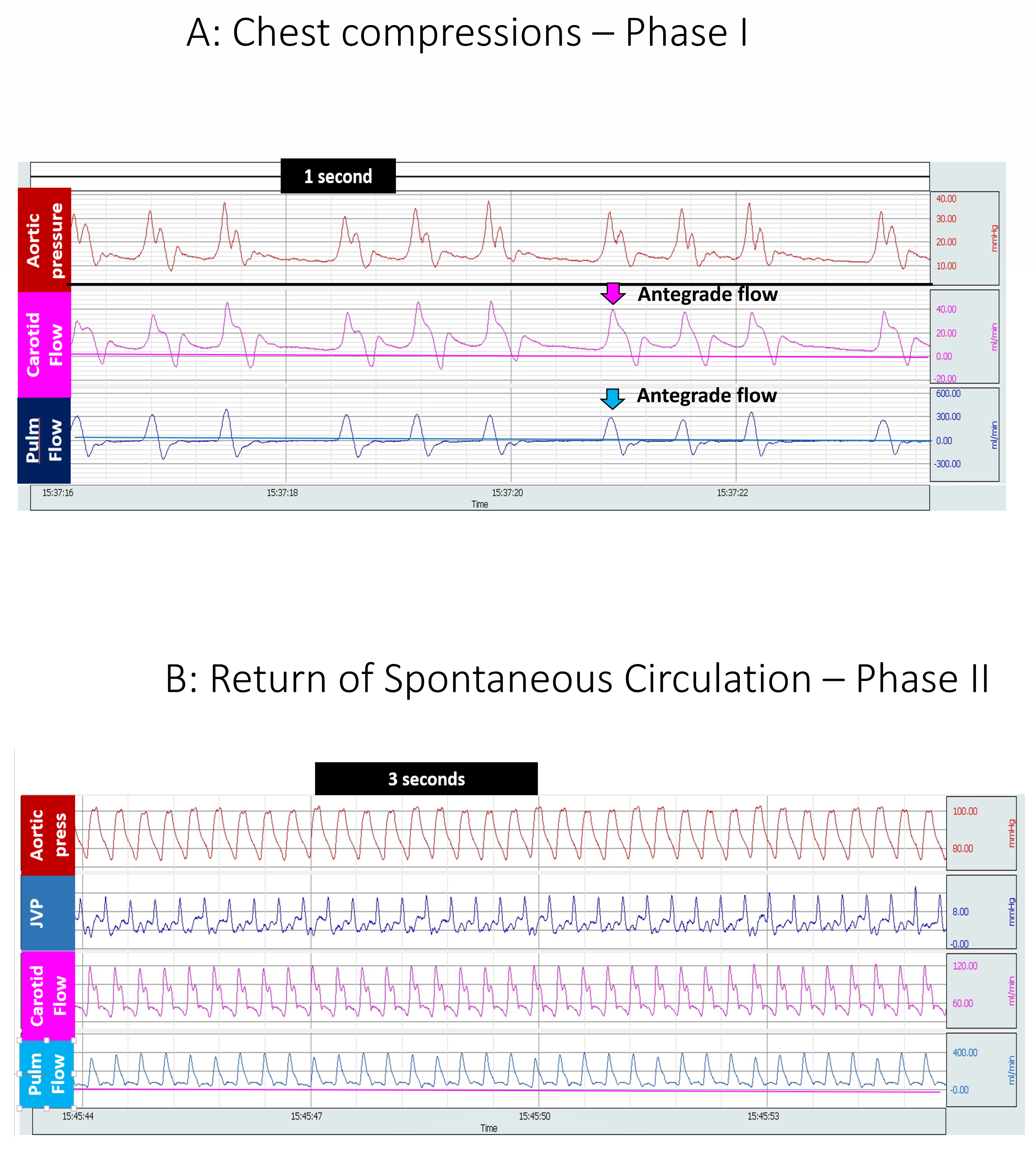 Children 06 00052 g002