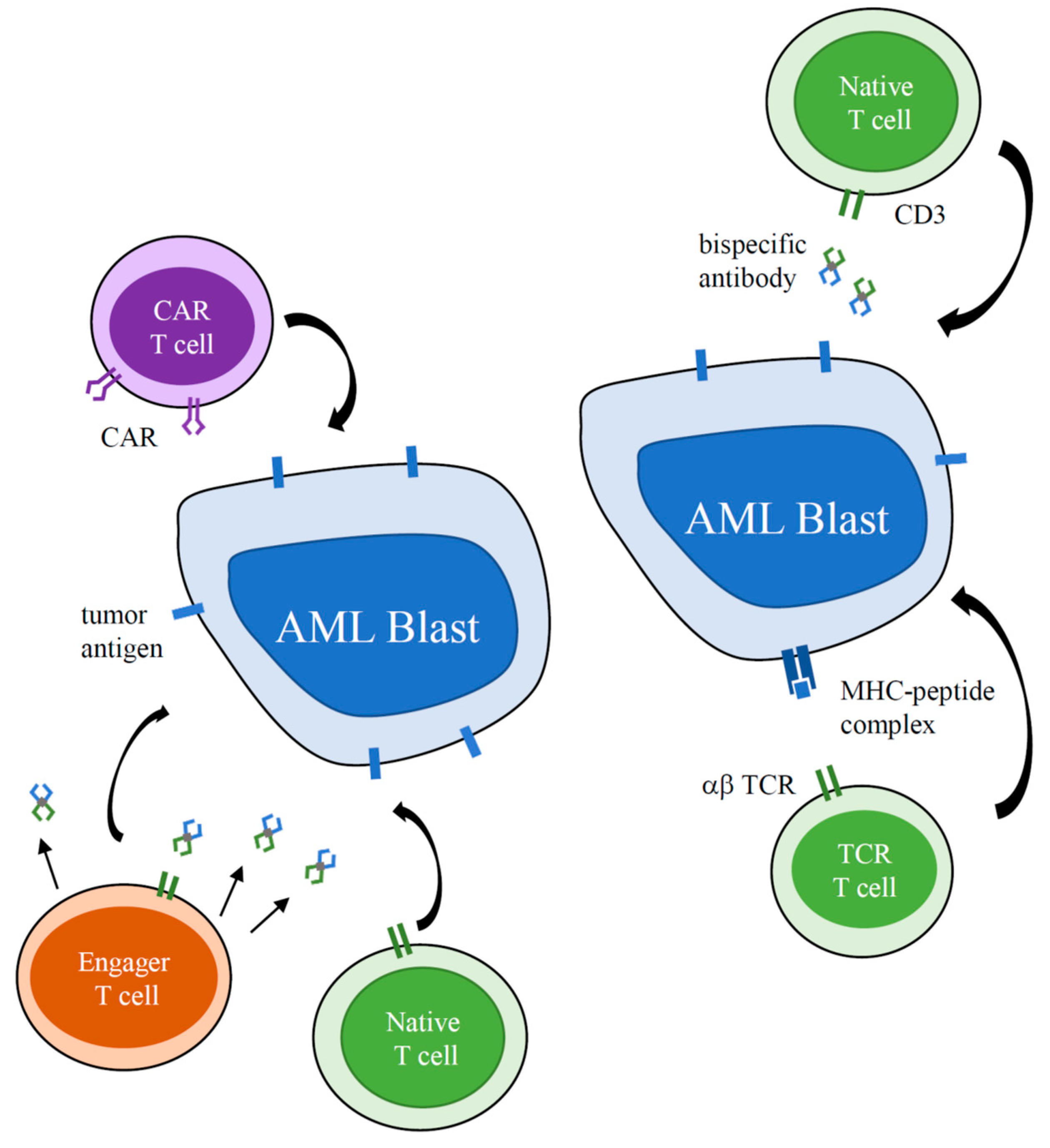 Children 07 00014 g001