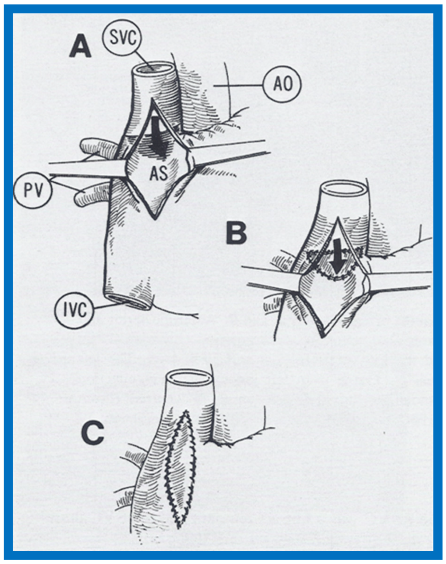 Children 07 00032 g007