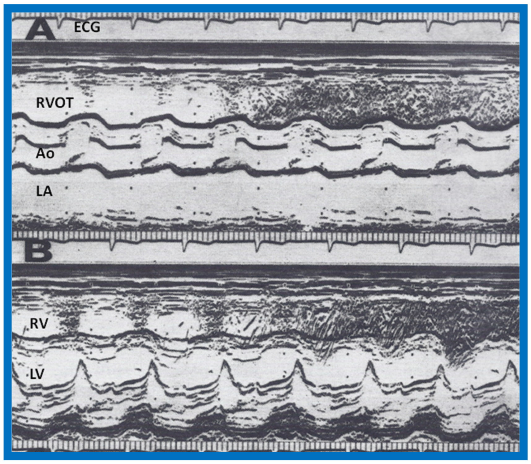 Children 07 00032 g008