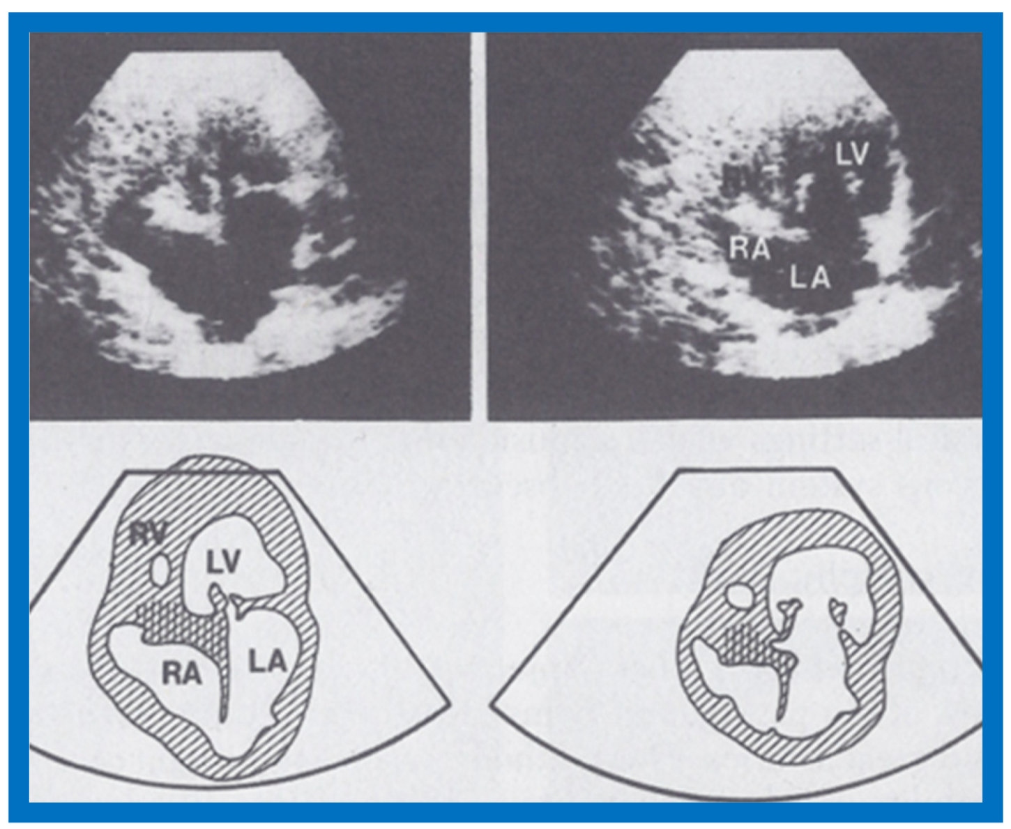 Children 07 00032 g014