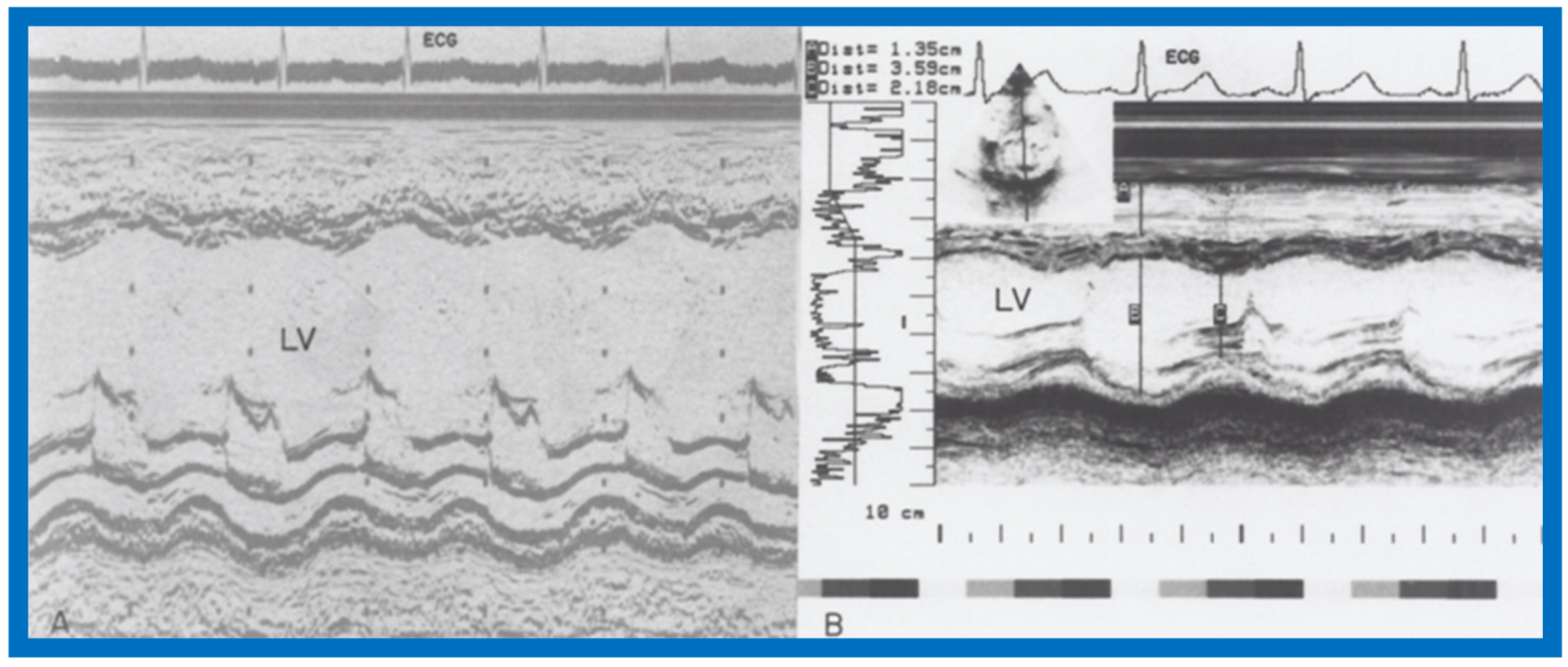 Children 07 00032 g040