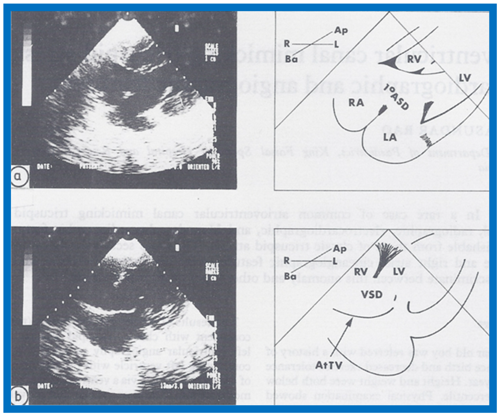 Children 07 00032 g050