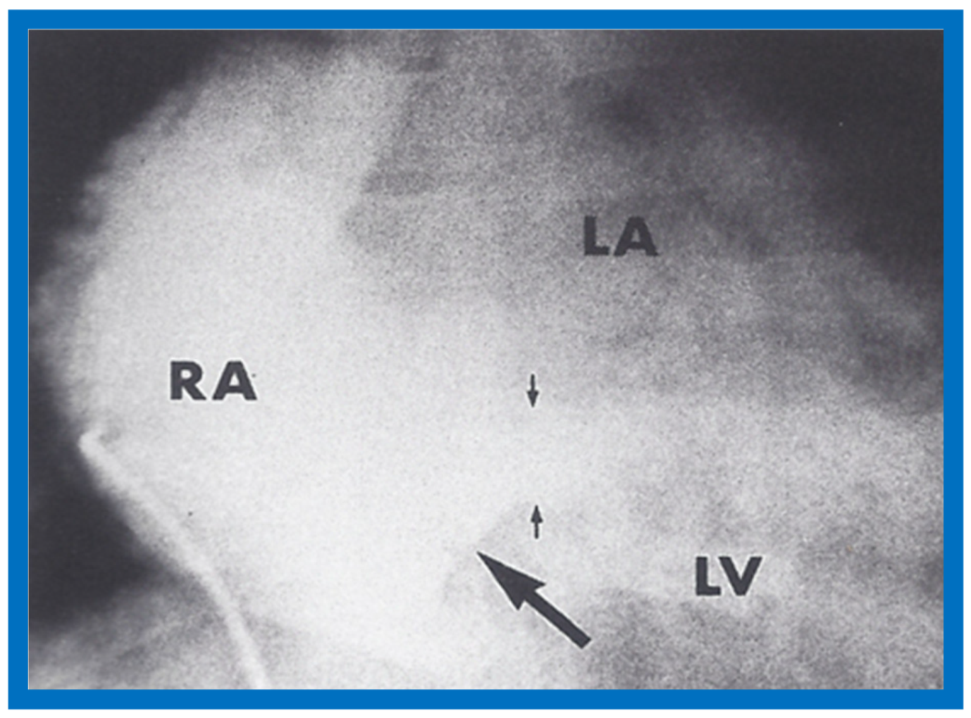 Children 07 00032 g051