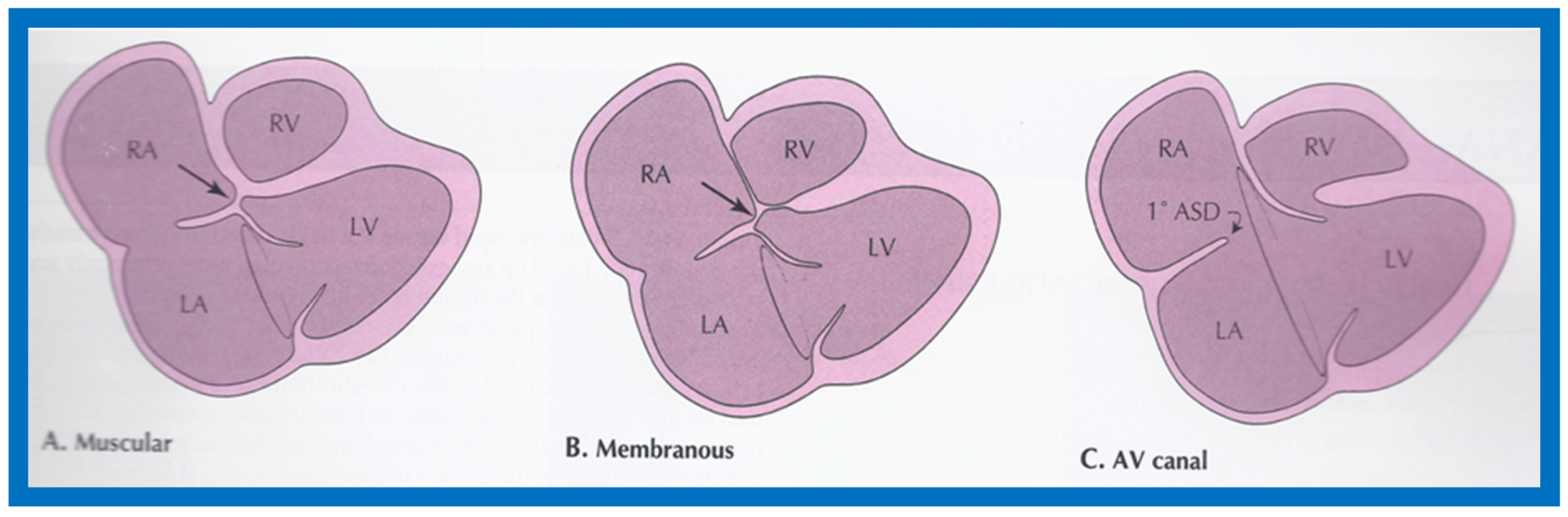Children 07 00032 g052