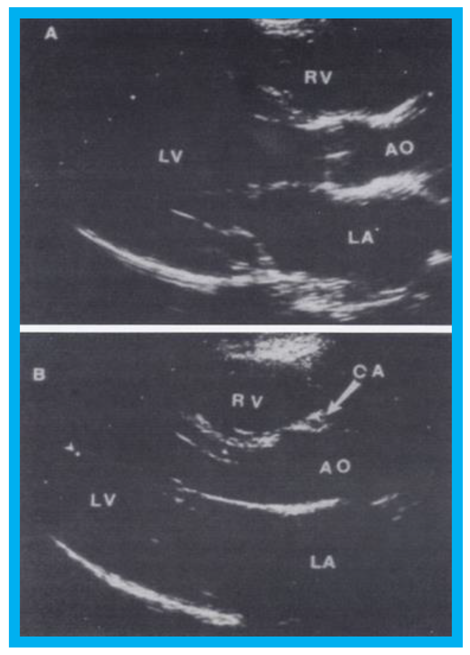 Children 07 00034 g012