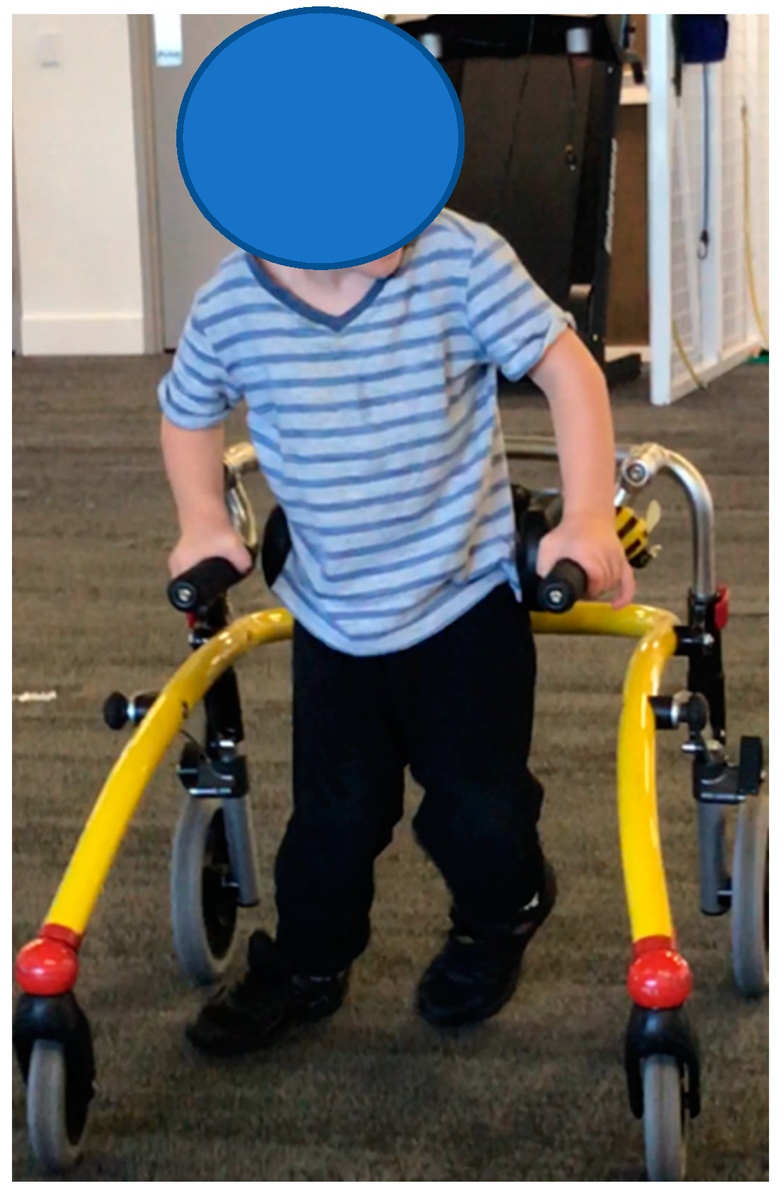 Children 07 00082 g001