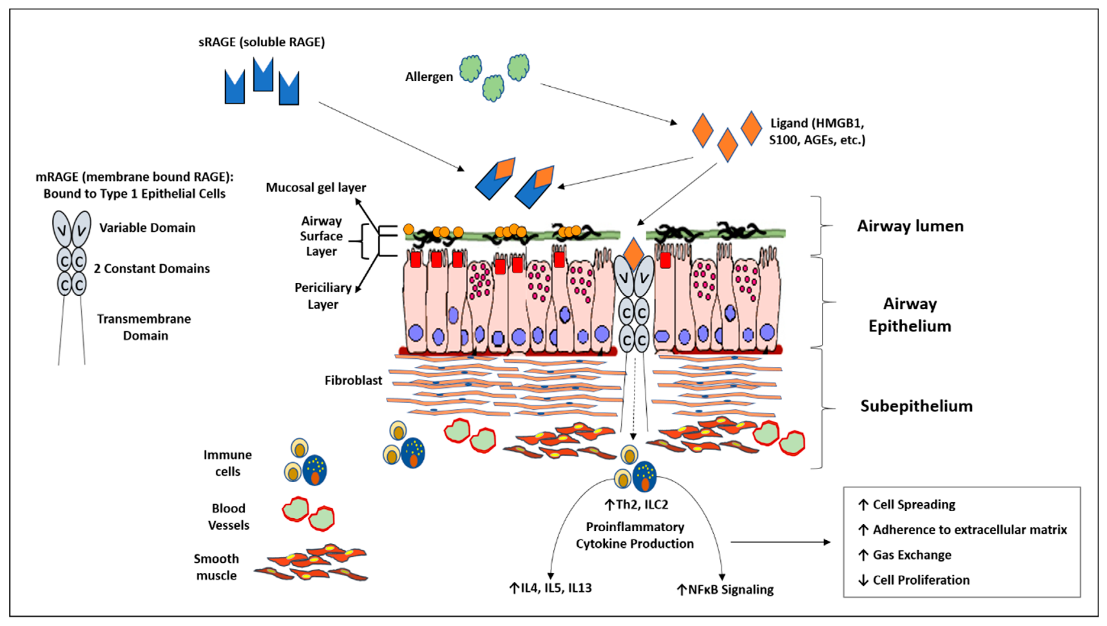 Children 07 00110 g001