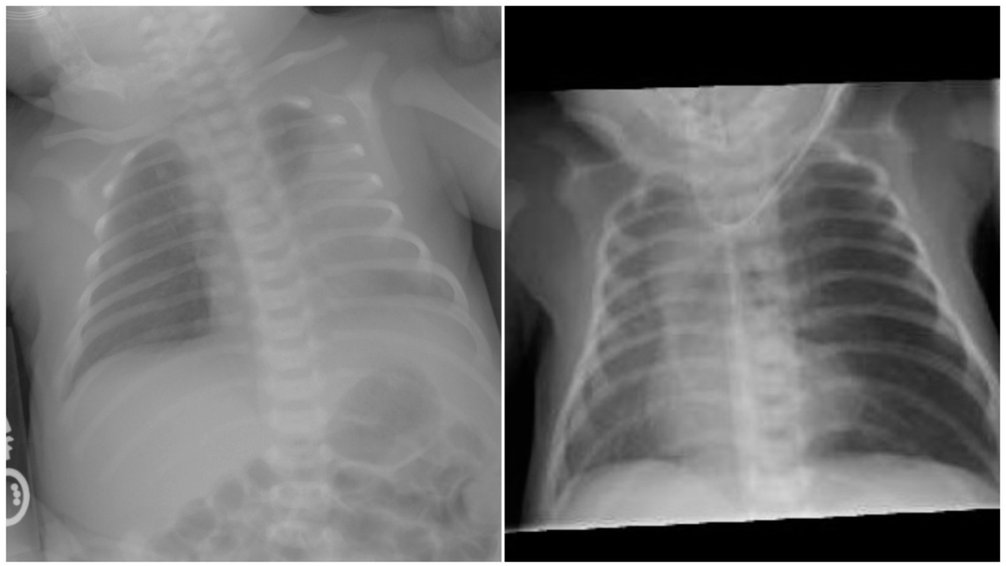 Children 07 00113 g001