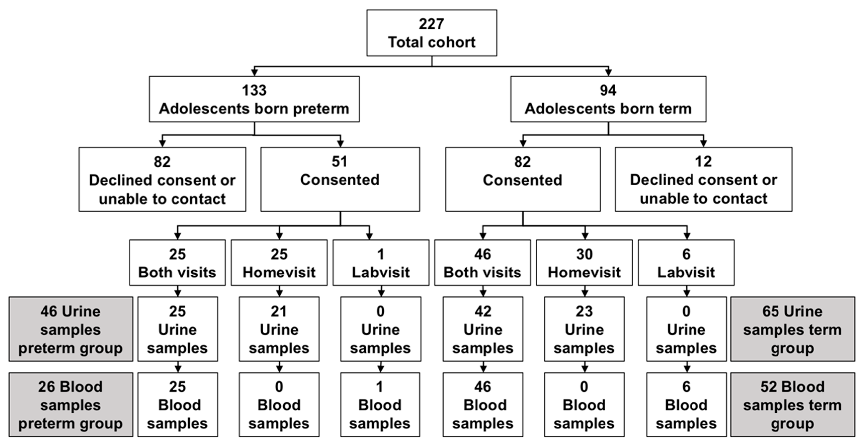 Children 07 00141 g001