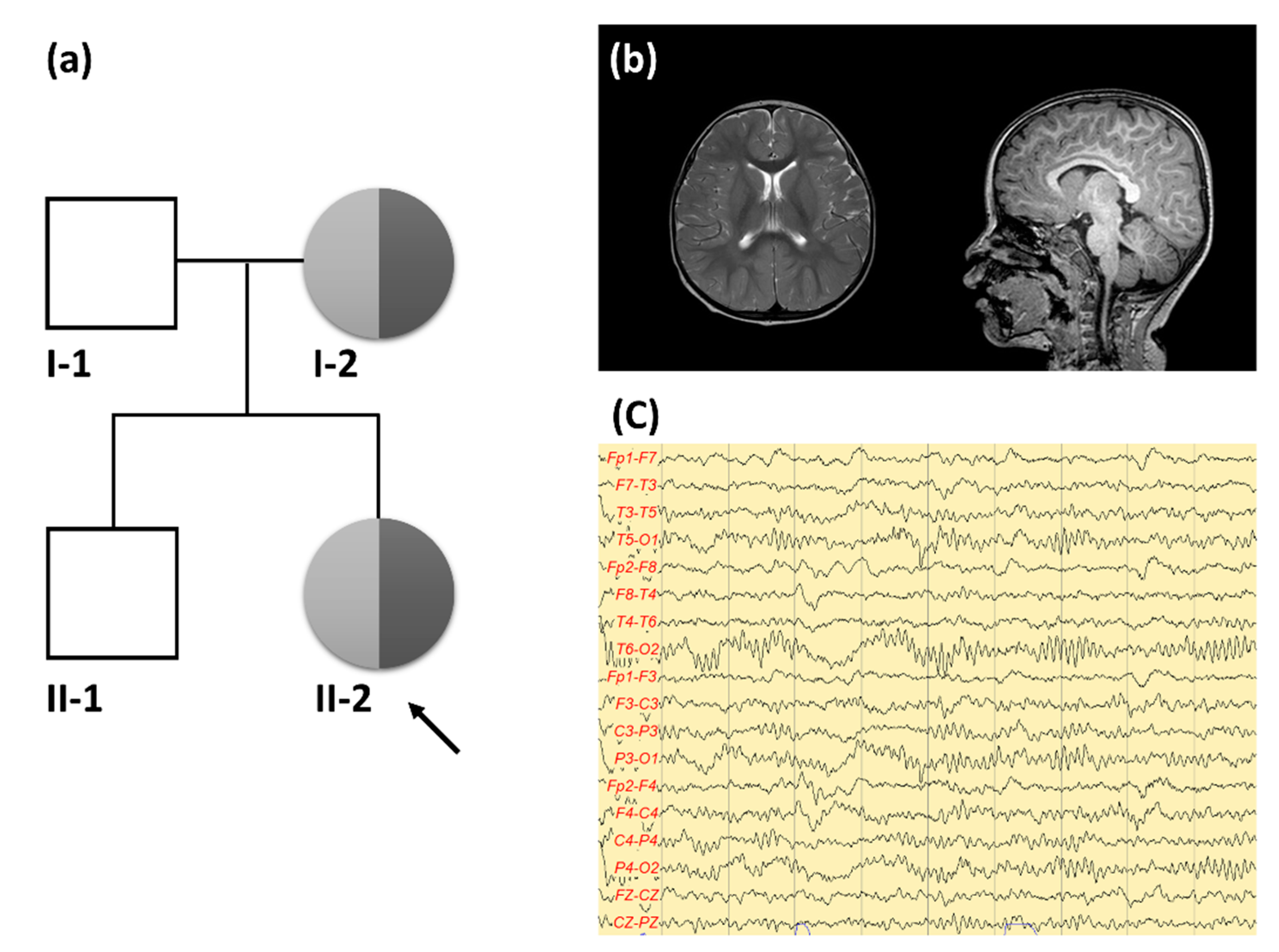 Children 07 00144 g001