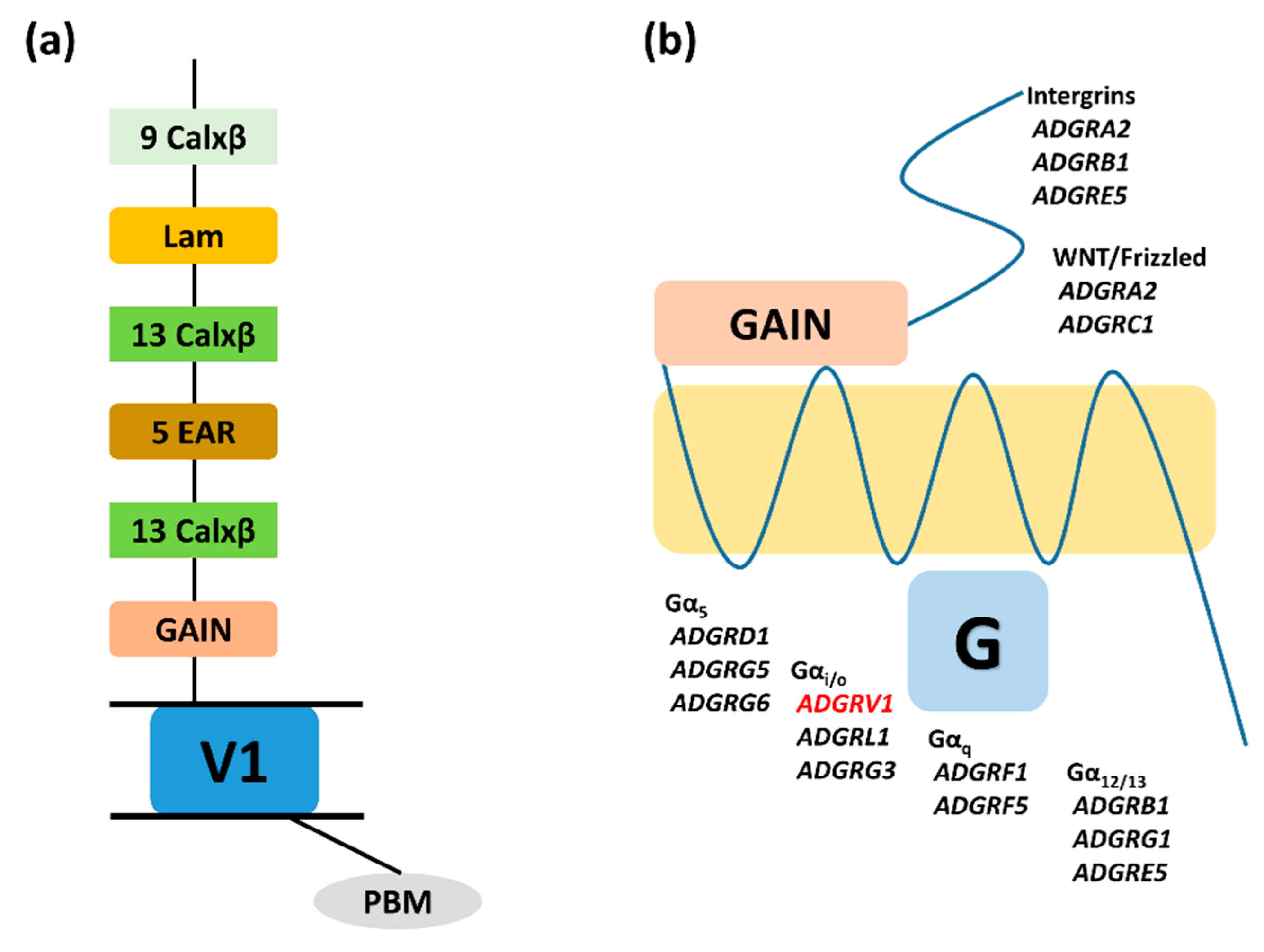Children 07 00144 g003