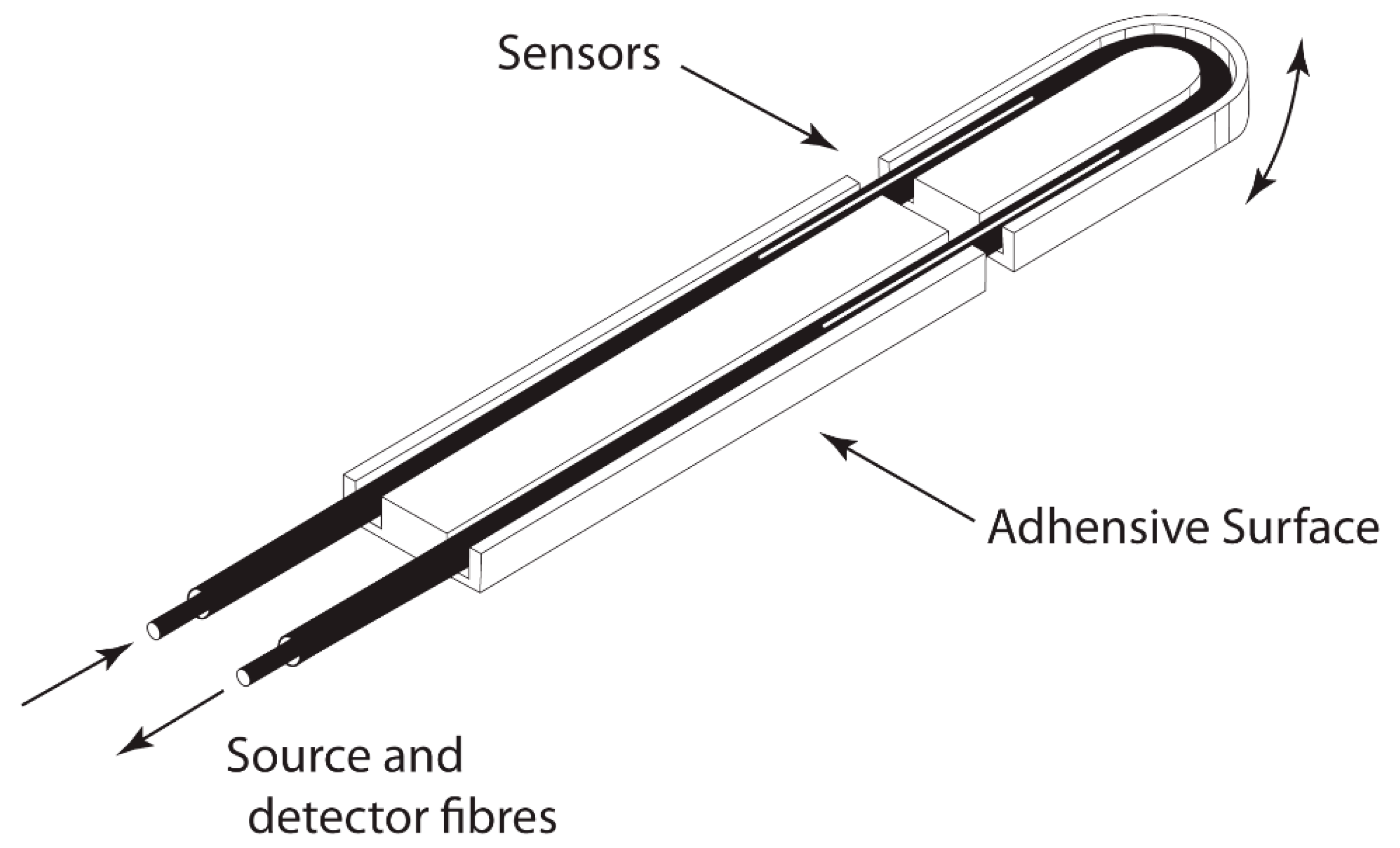 Children 07 00160 g001
