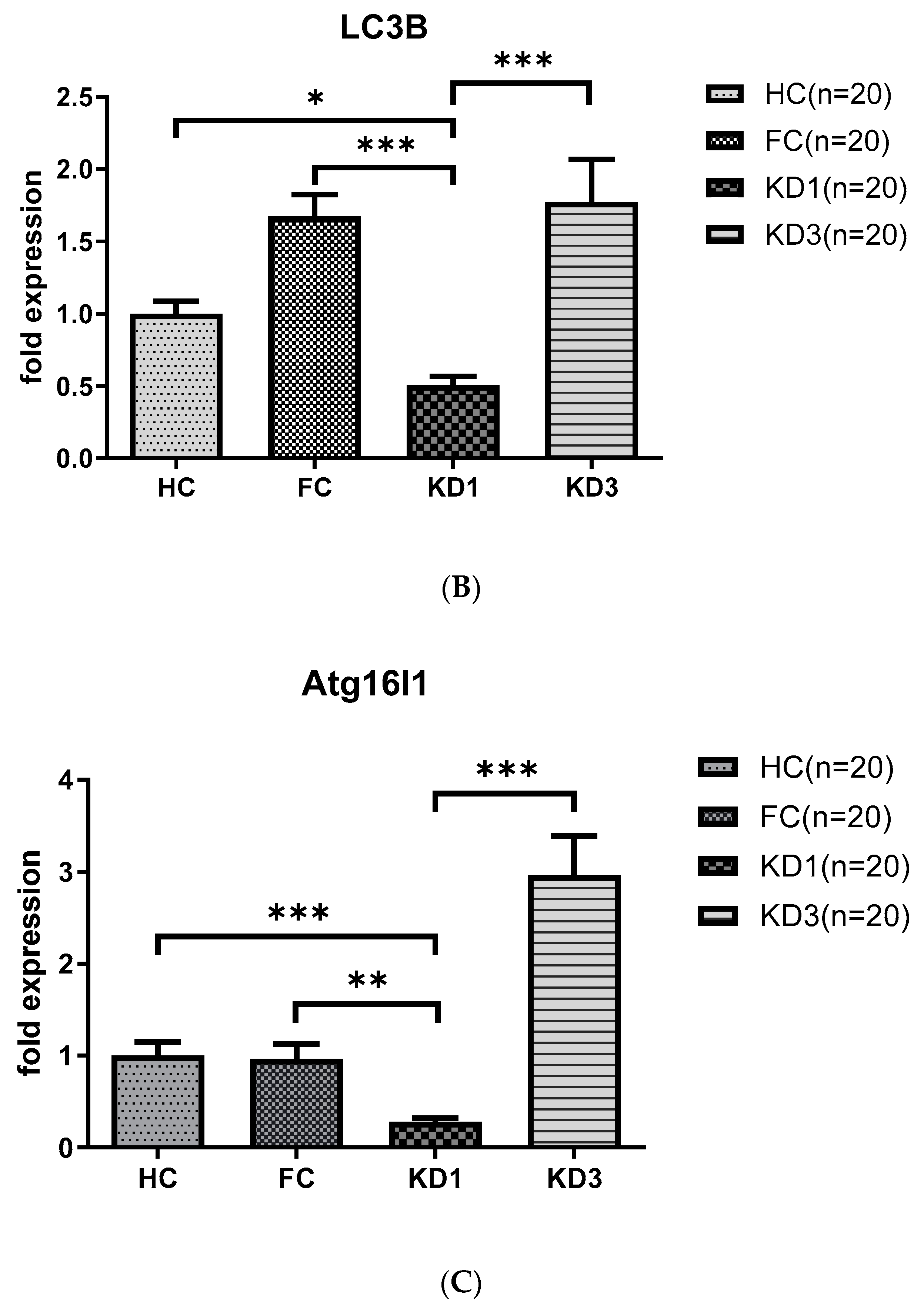 Children 07 00166 g001b