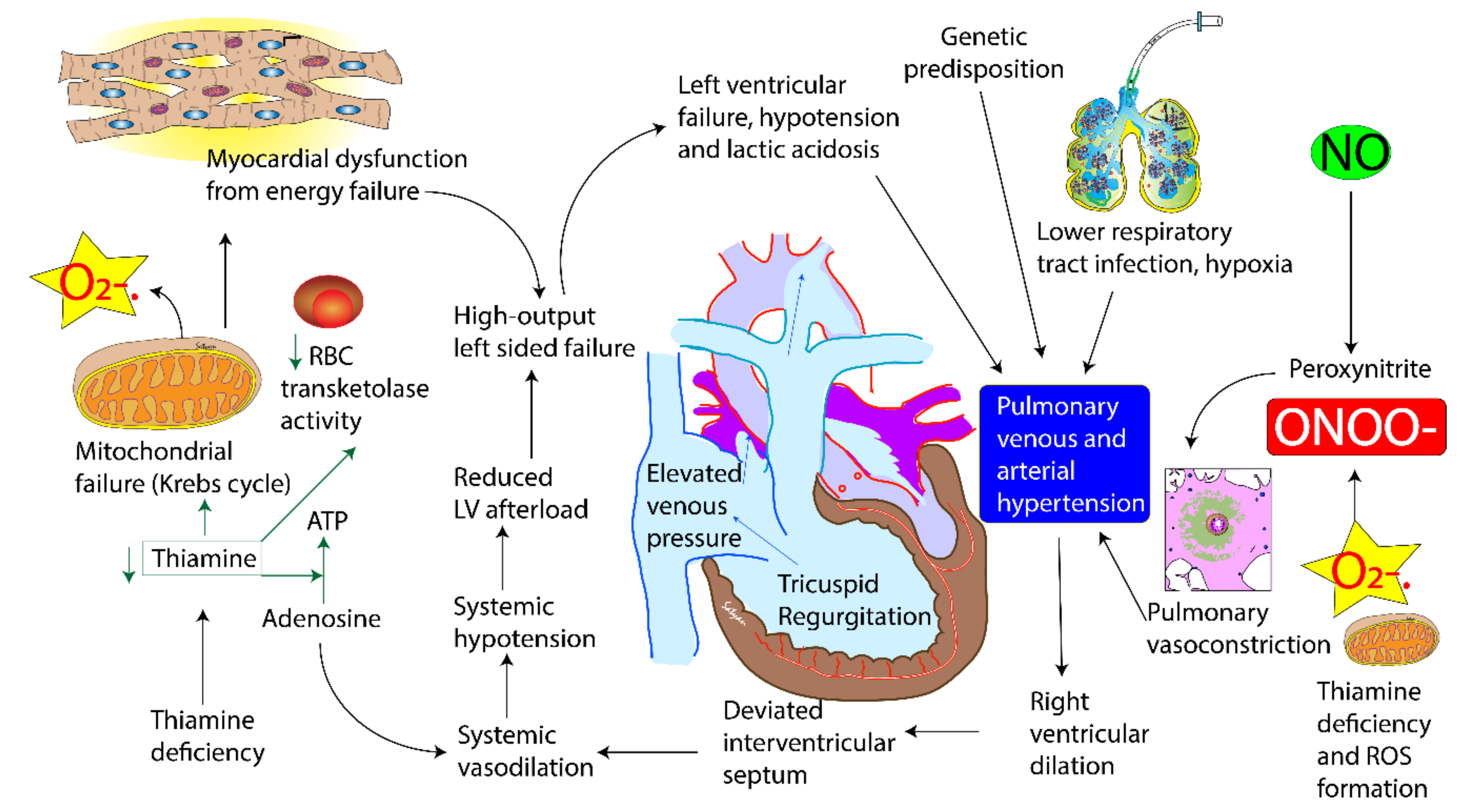 Children 07 00199 g004
