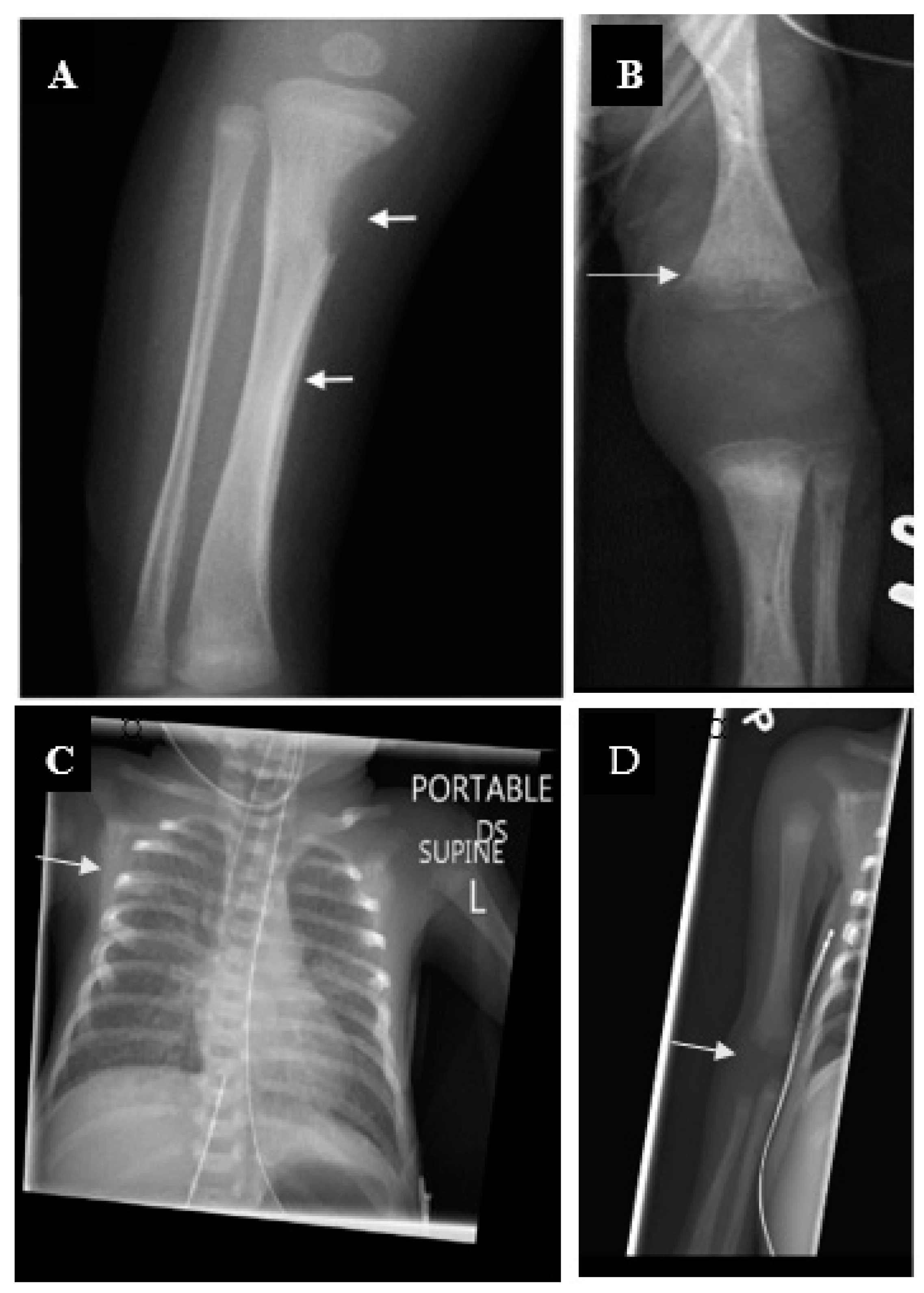 Children 07 00203 g003