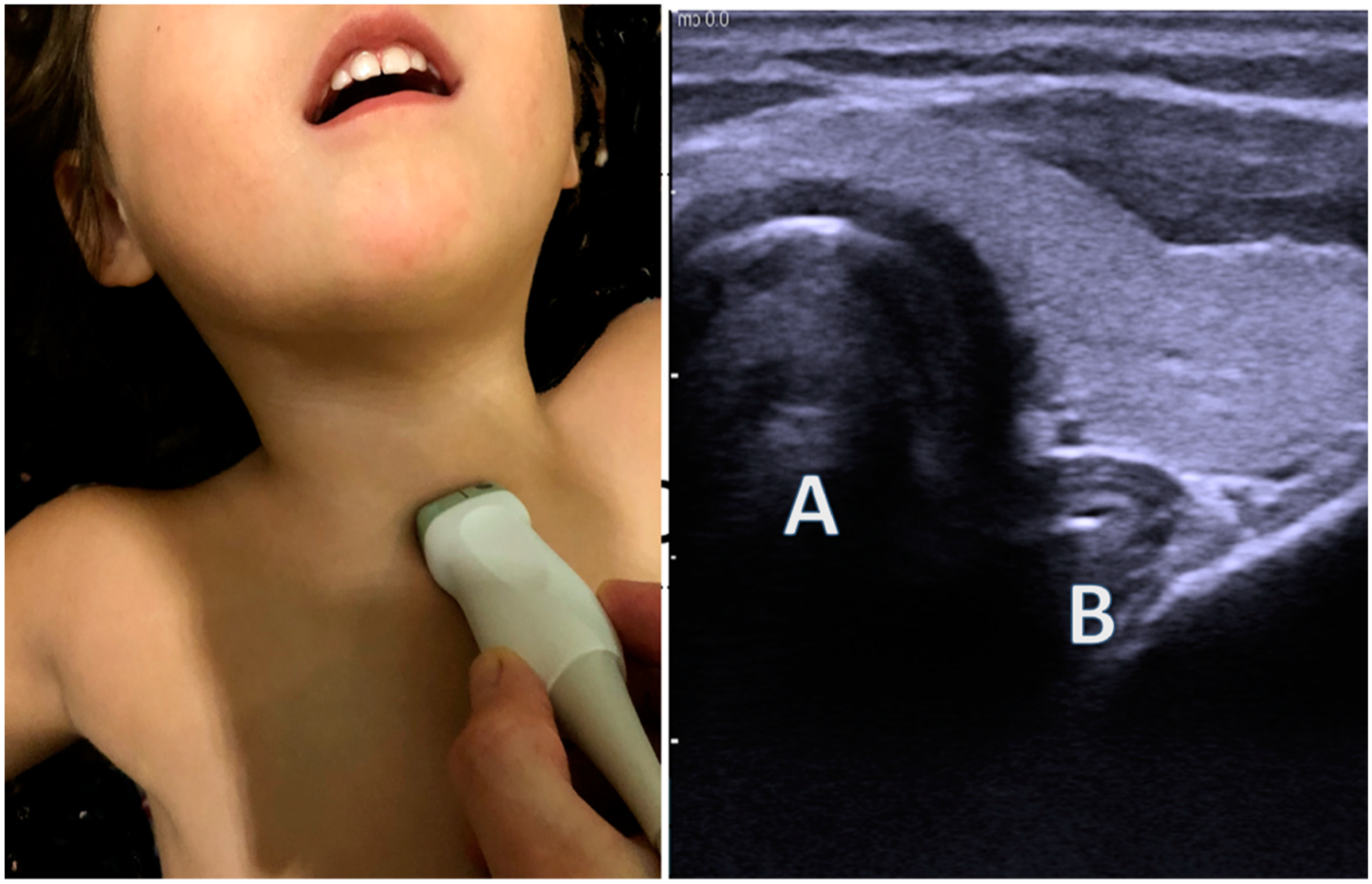 Children 07 00213 g003