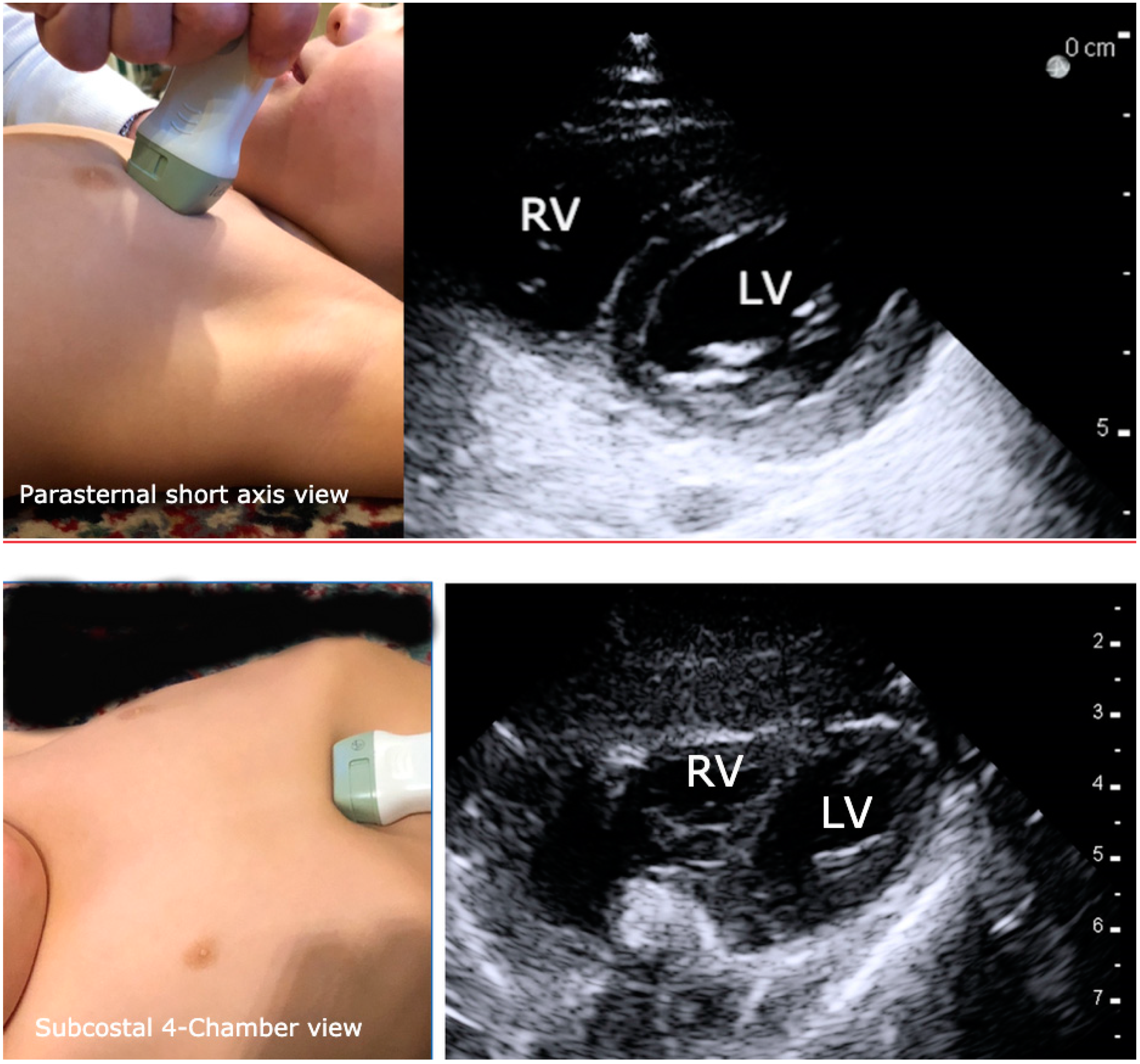 Children 07 00213 g004