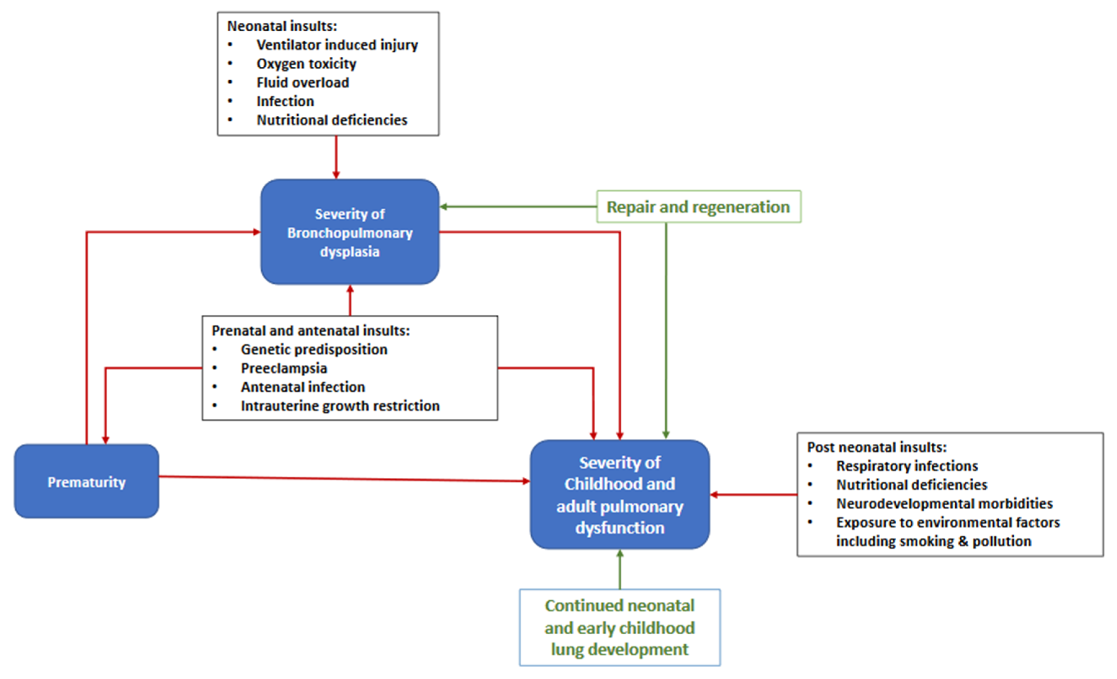 Children 07 00283 g001