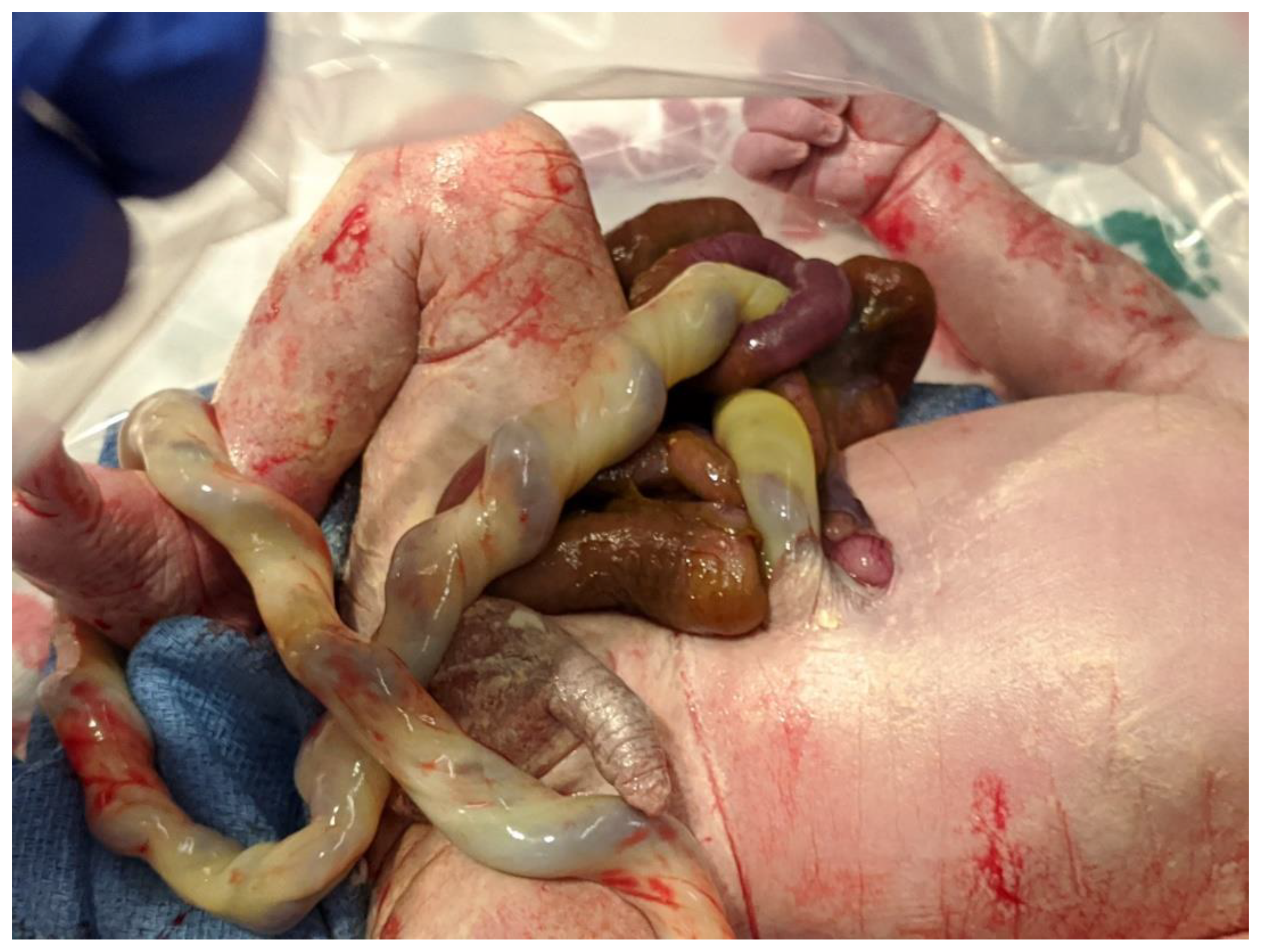 Children 07 00302 g001