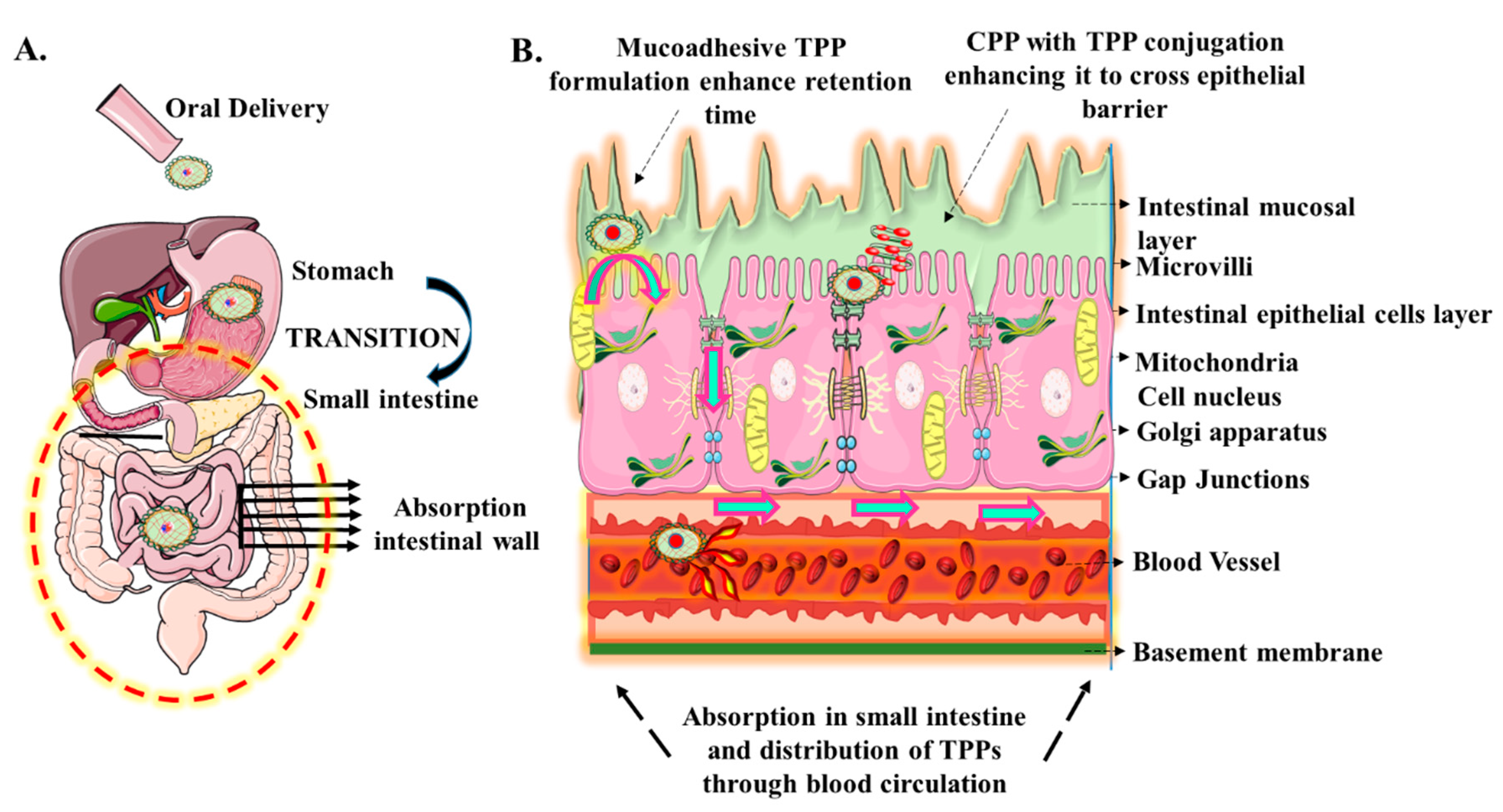 Children 07 00307 g002