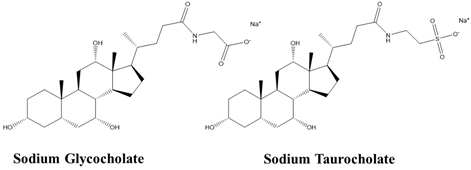 Children 07 00307 i003 Children 07 00307 i003