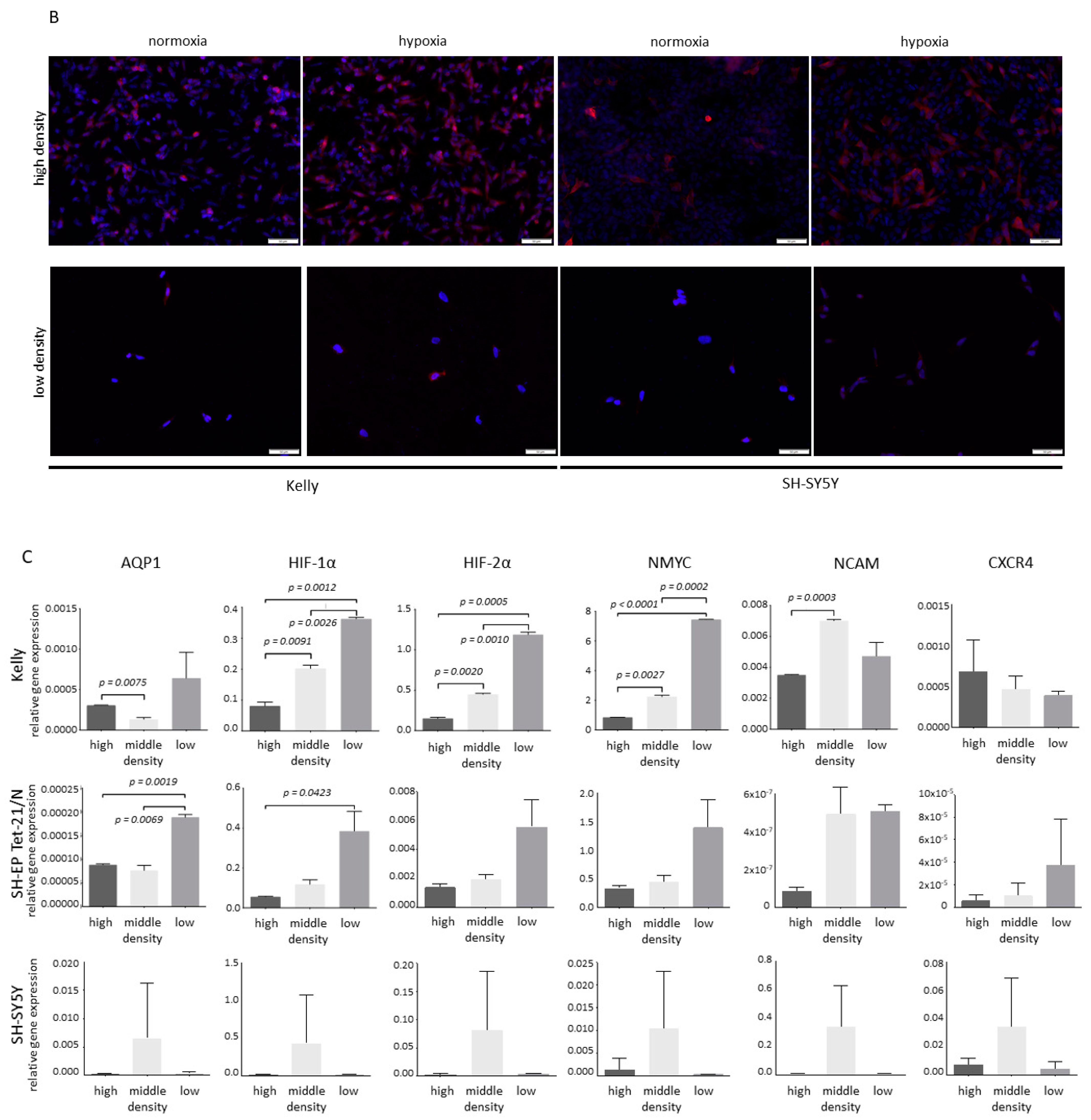 Children 08 00048 g002b