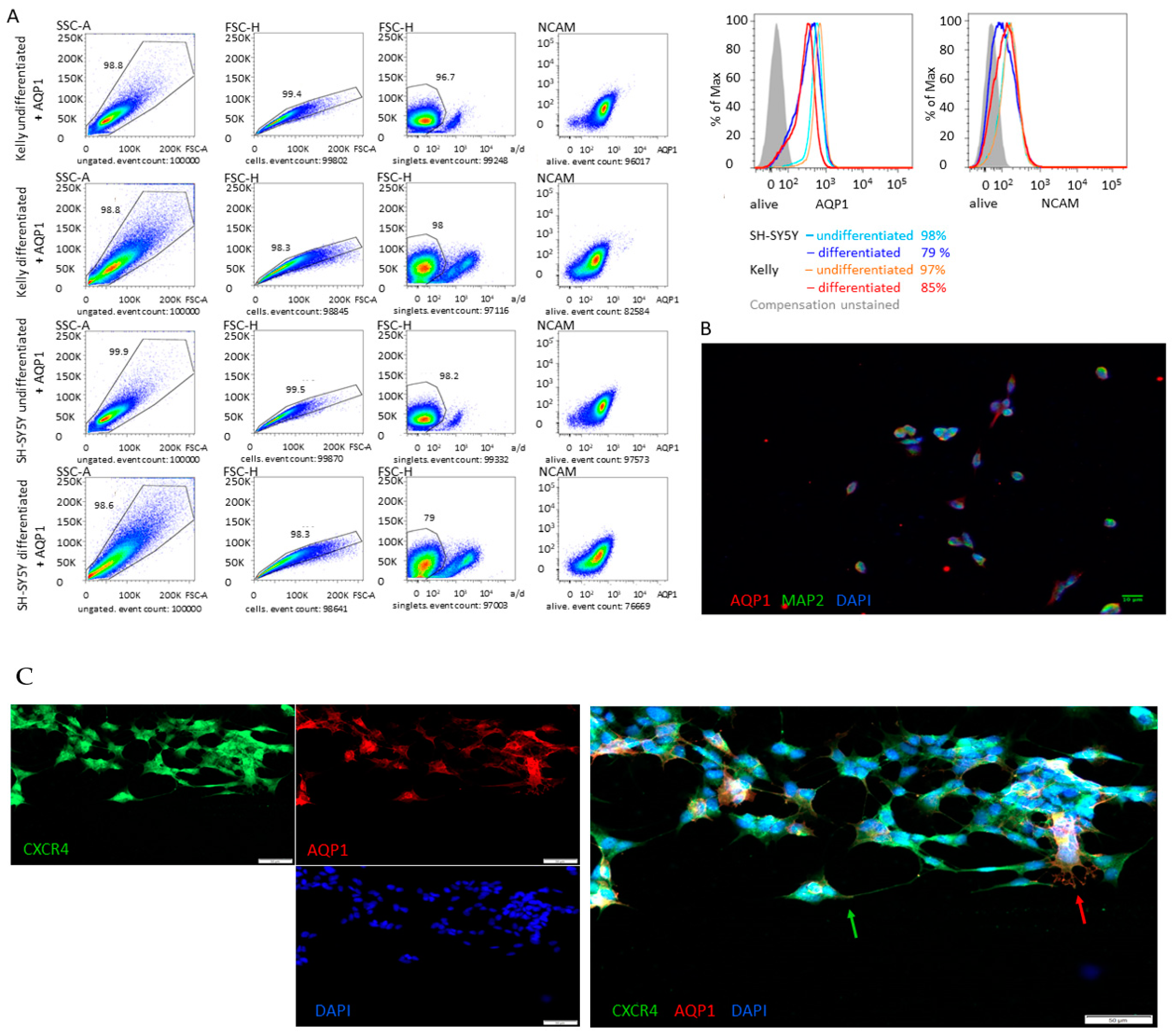 Children 08 00048 g003