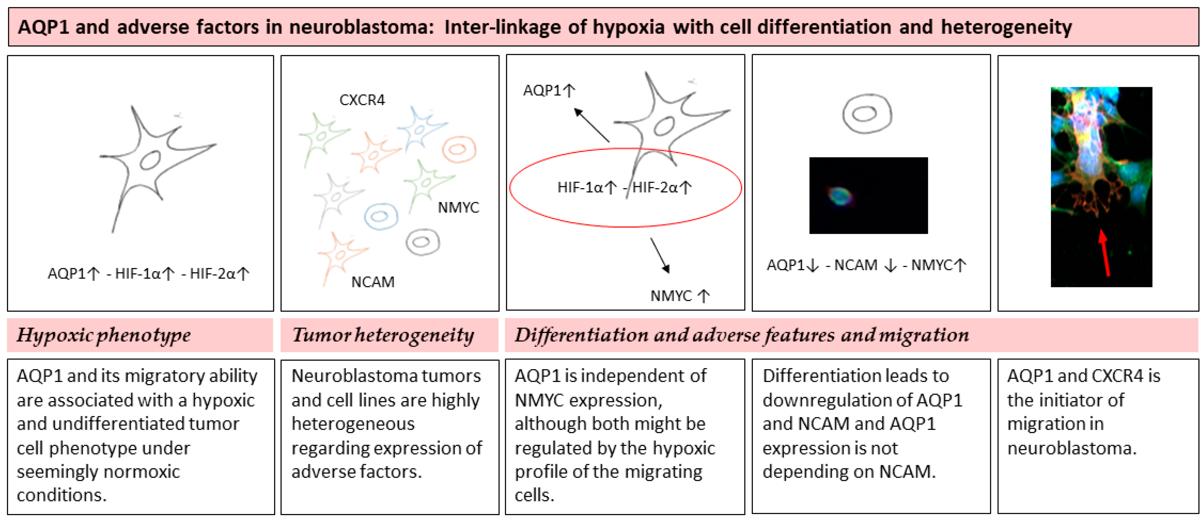 Children 08 00048 g004