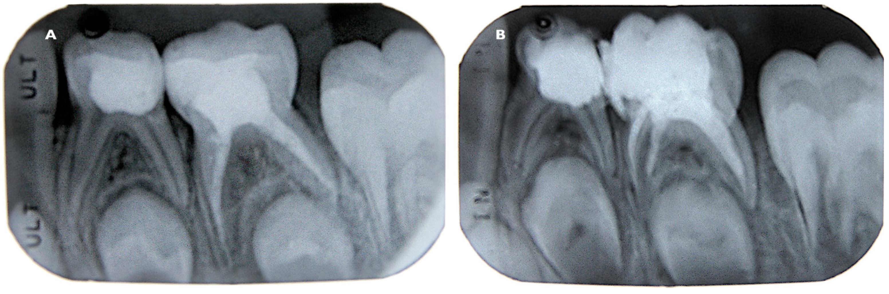 Children 08 00060 g001