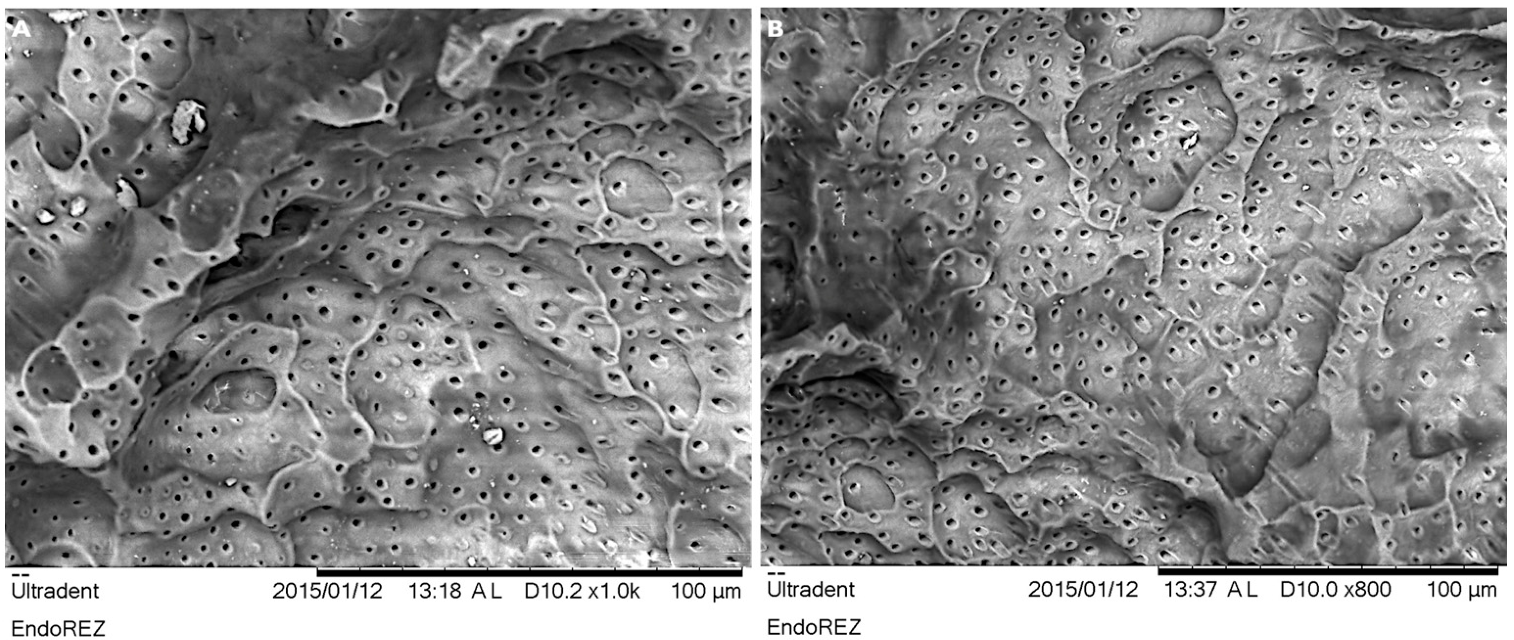 Children 08 00060 g002