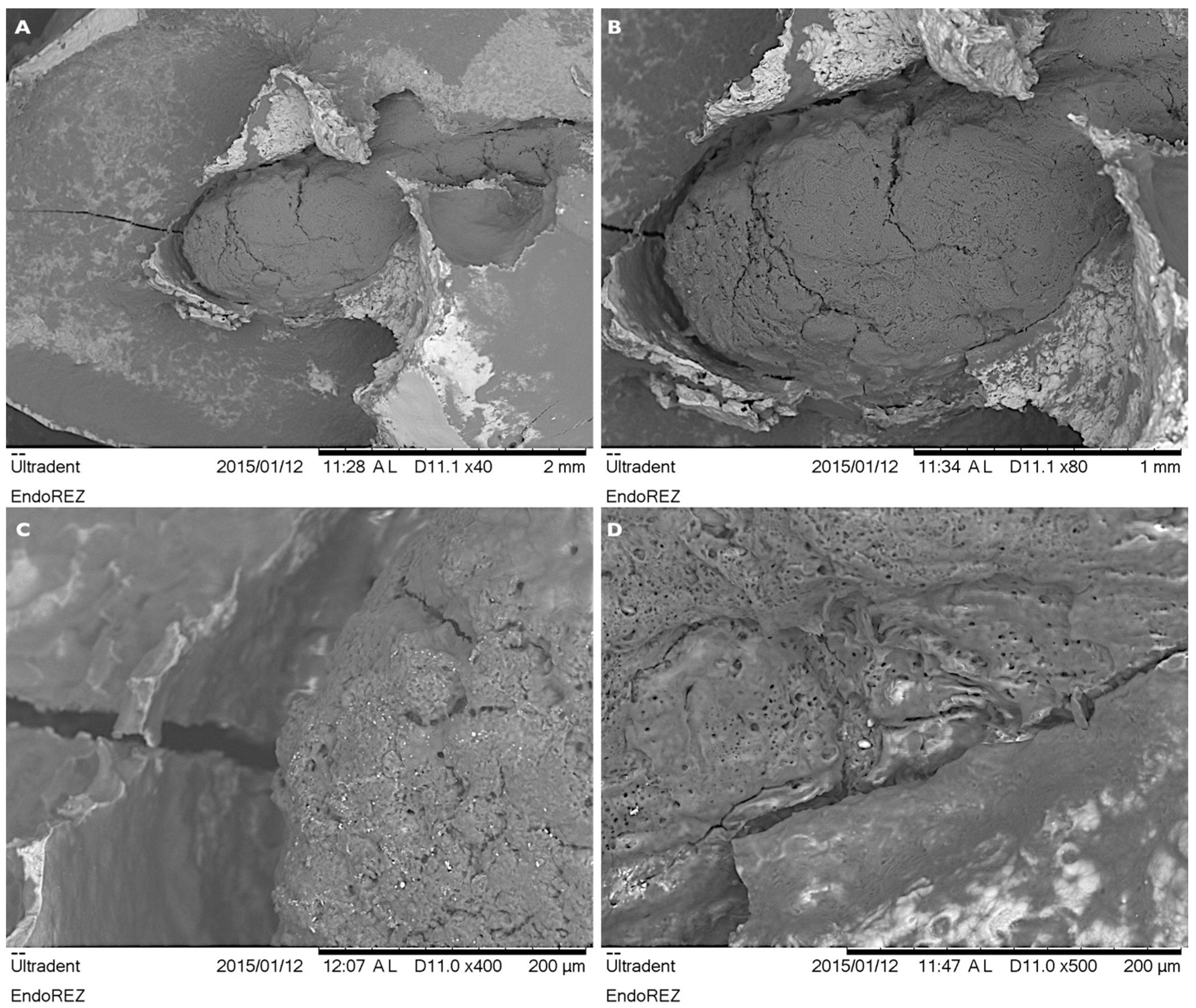 Children 08 00060 g003