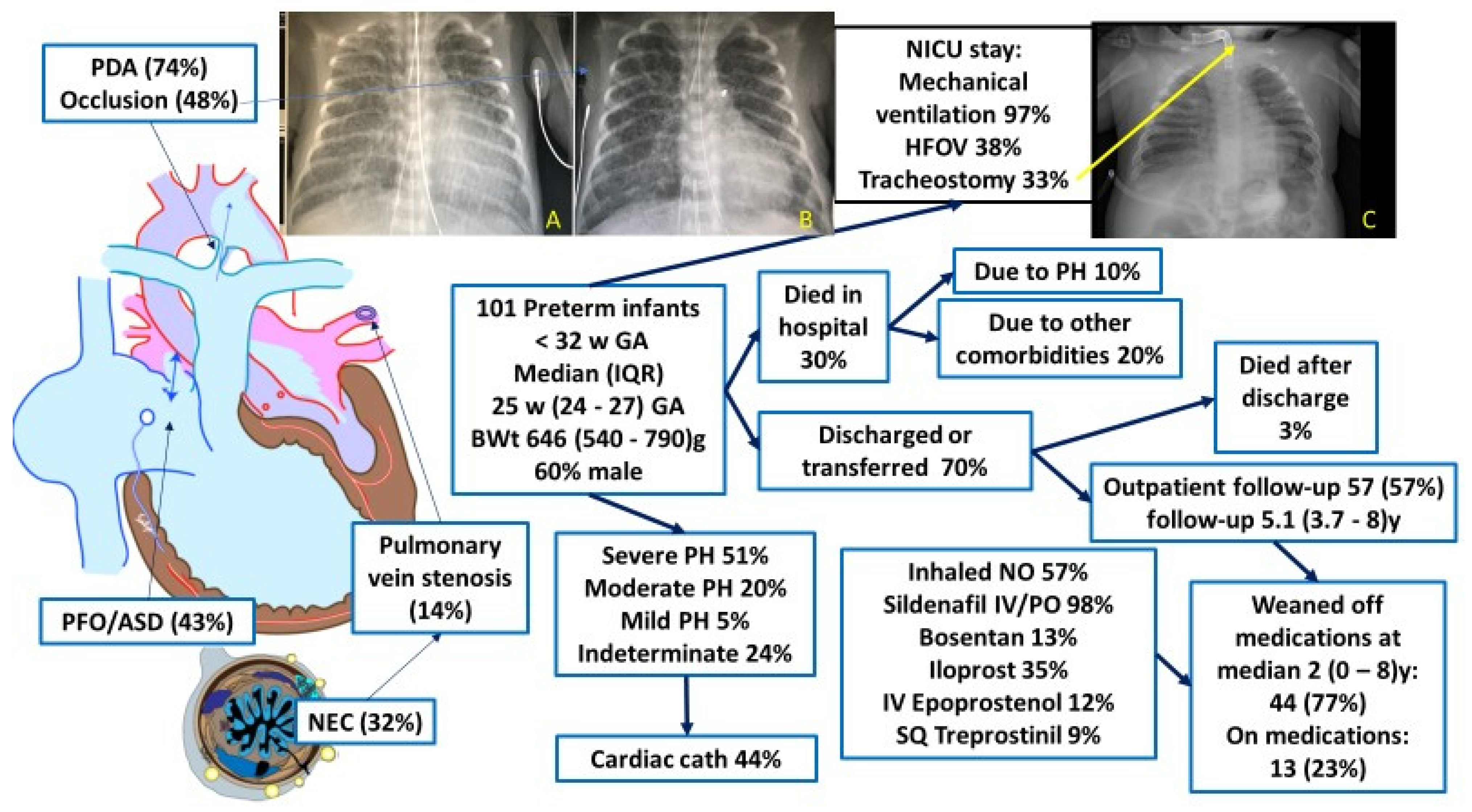 Children 08 00131 g001