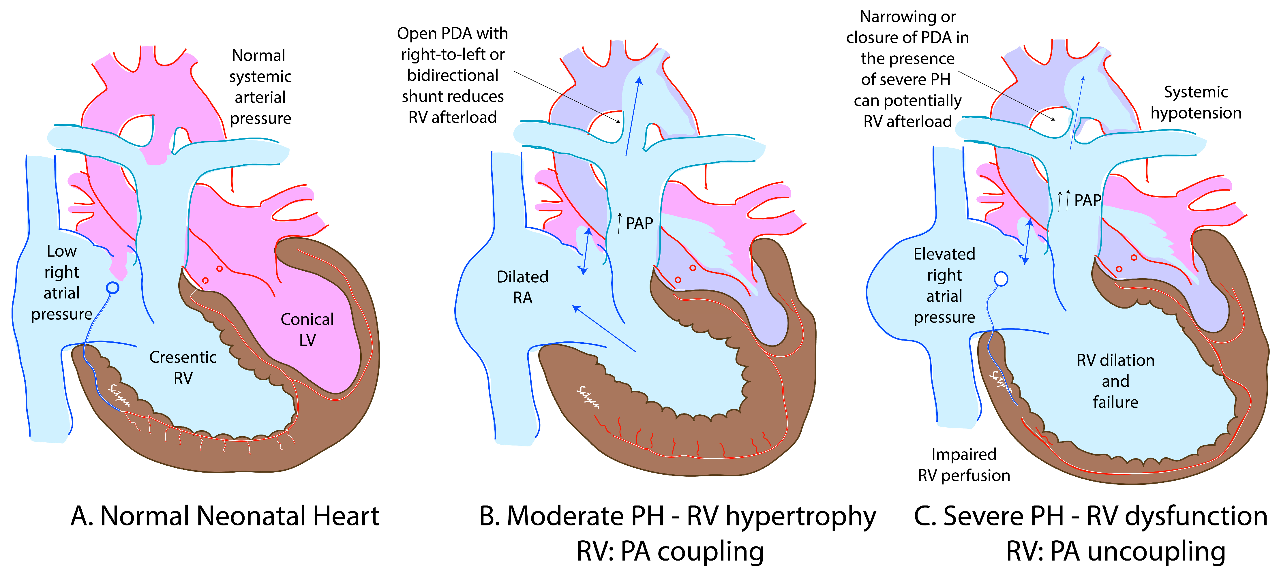 Children 08 00131 g004
