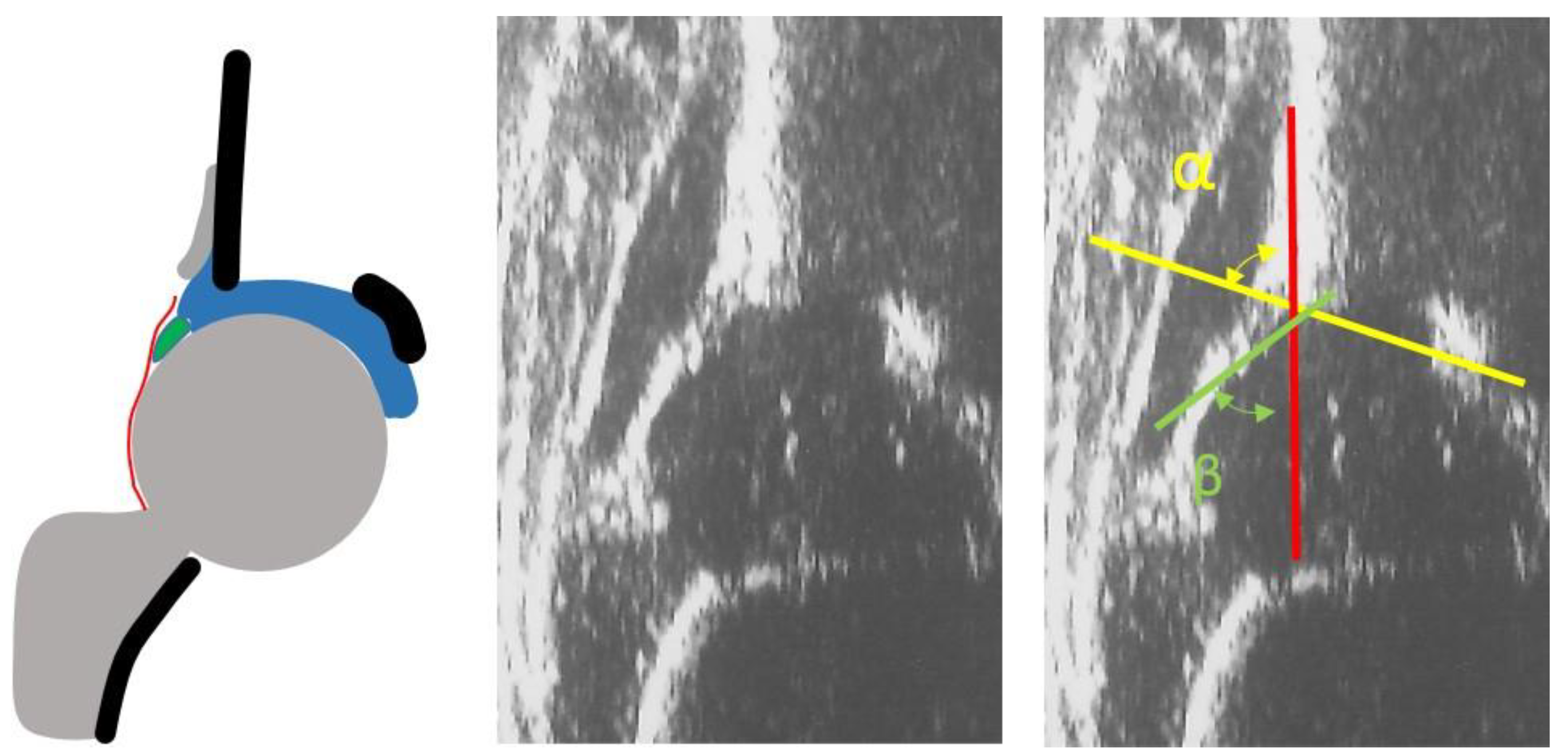 Children 08 00179 g001 Children 08 00179 g001