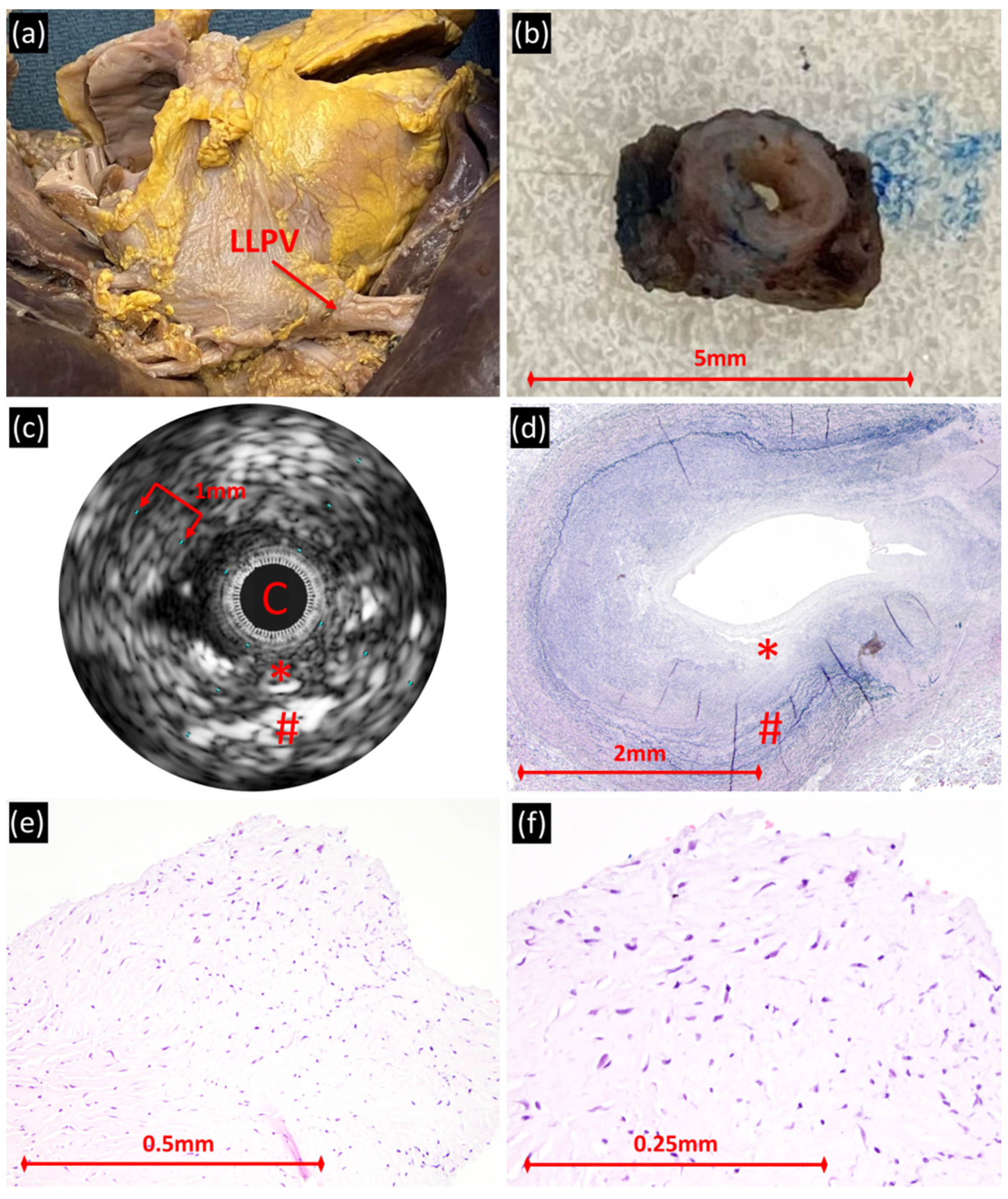 Children 08 00193 g001