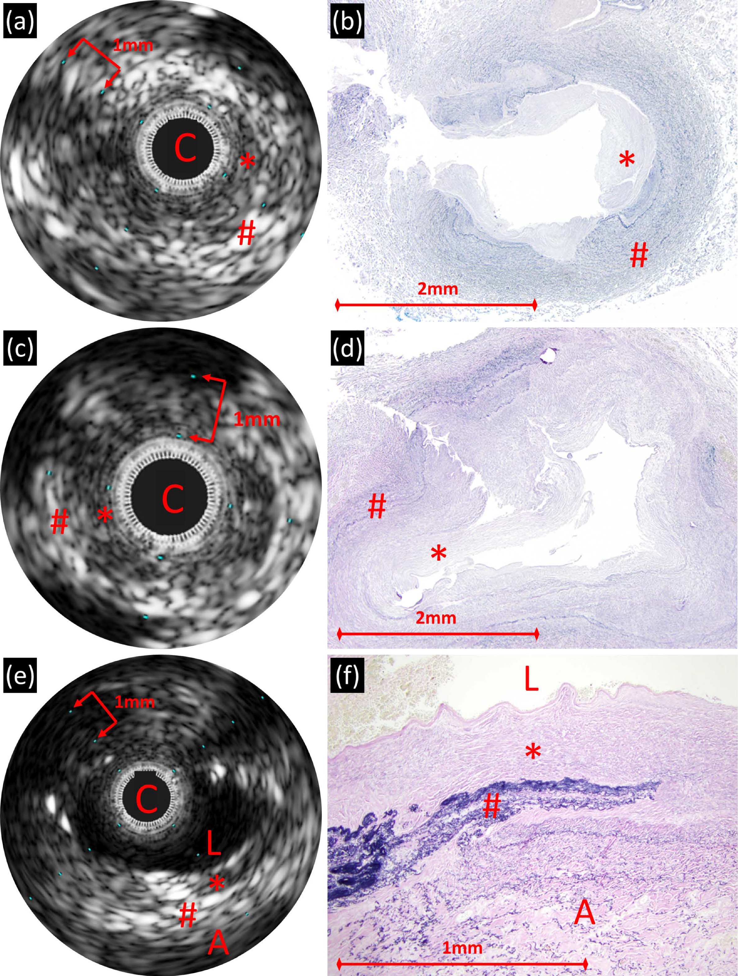 Children 08 00193 g002