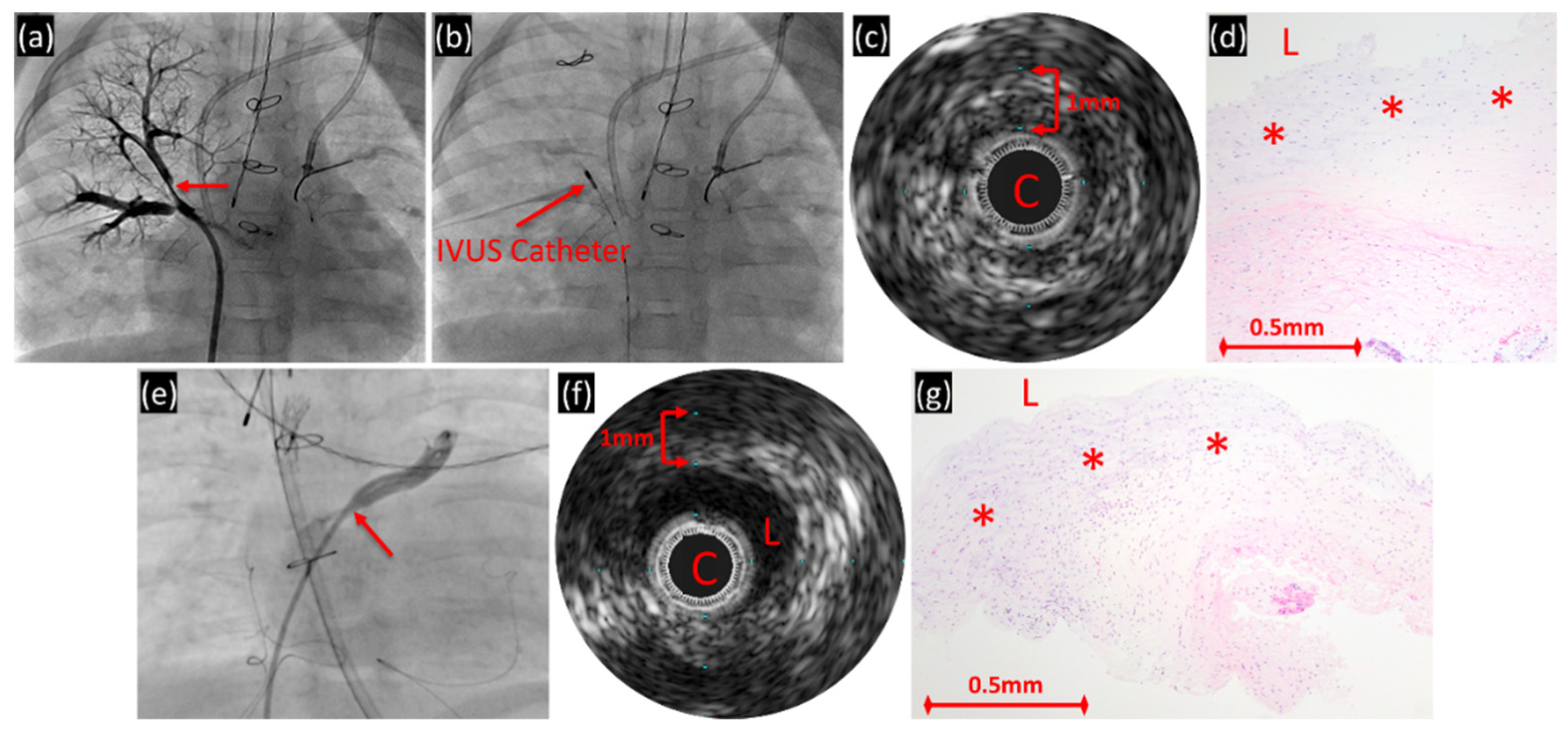 Children 08 00193 g003