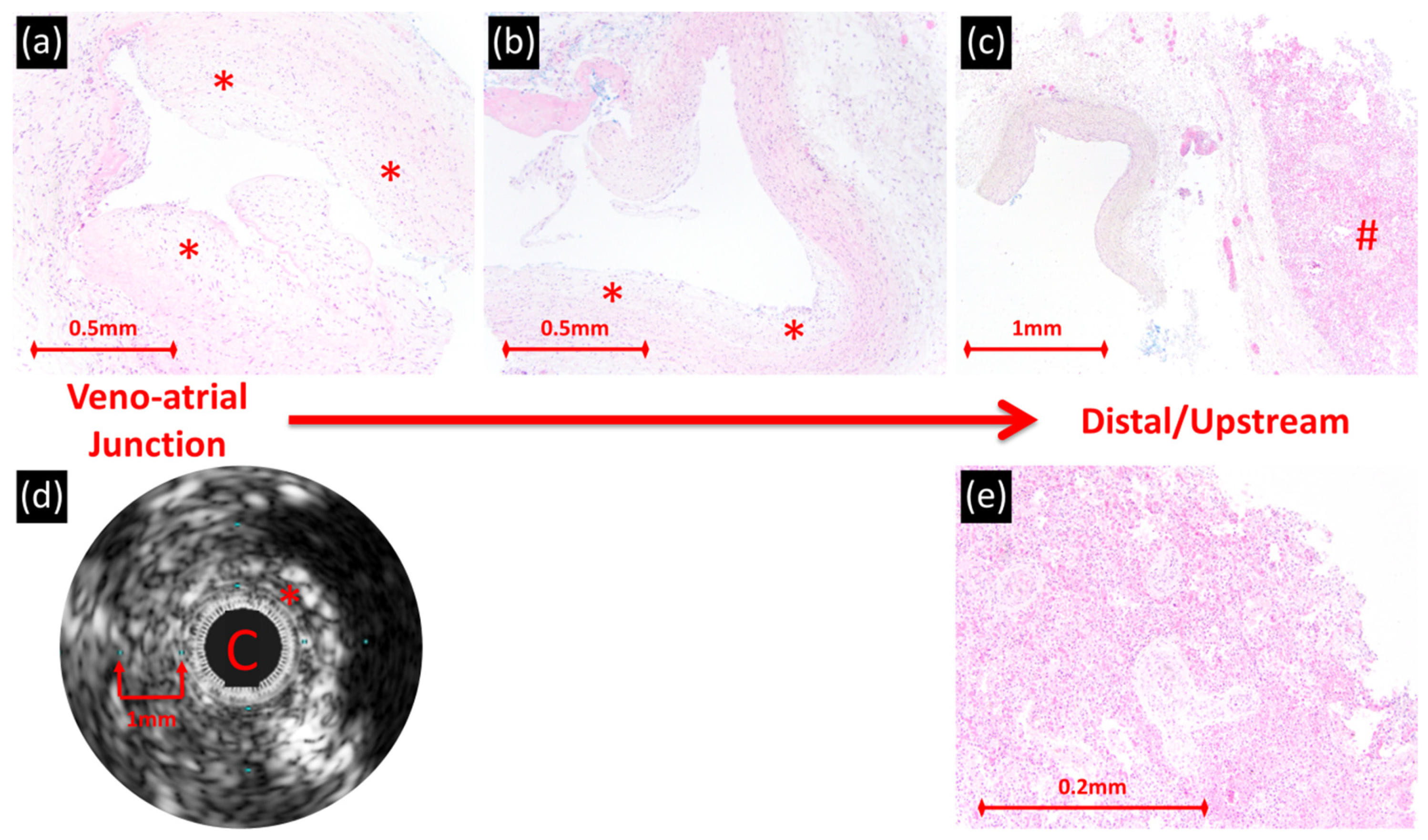 Children 08 00193 g005