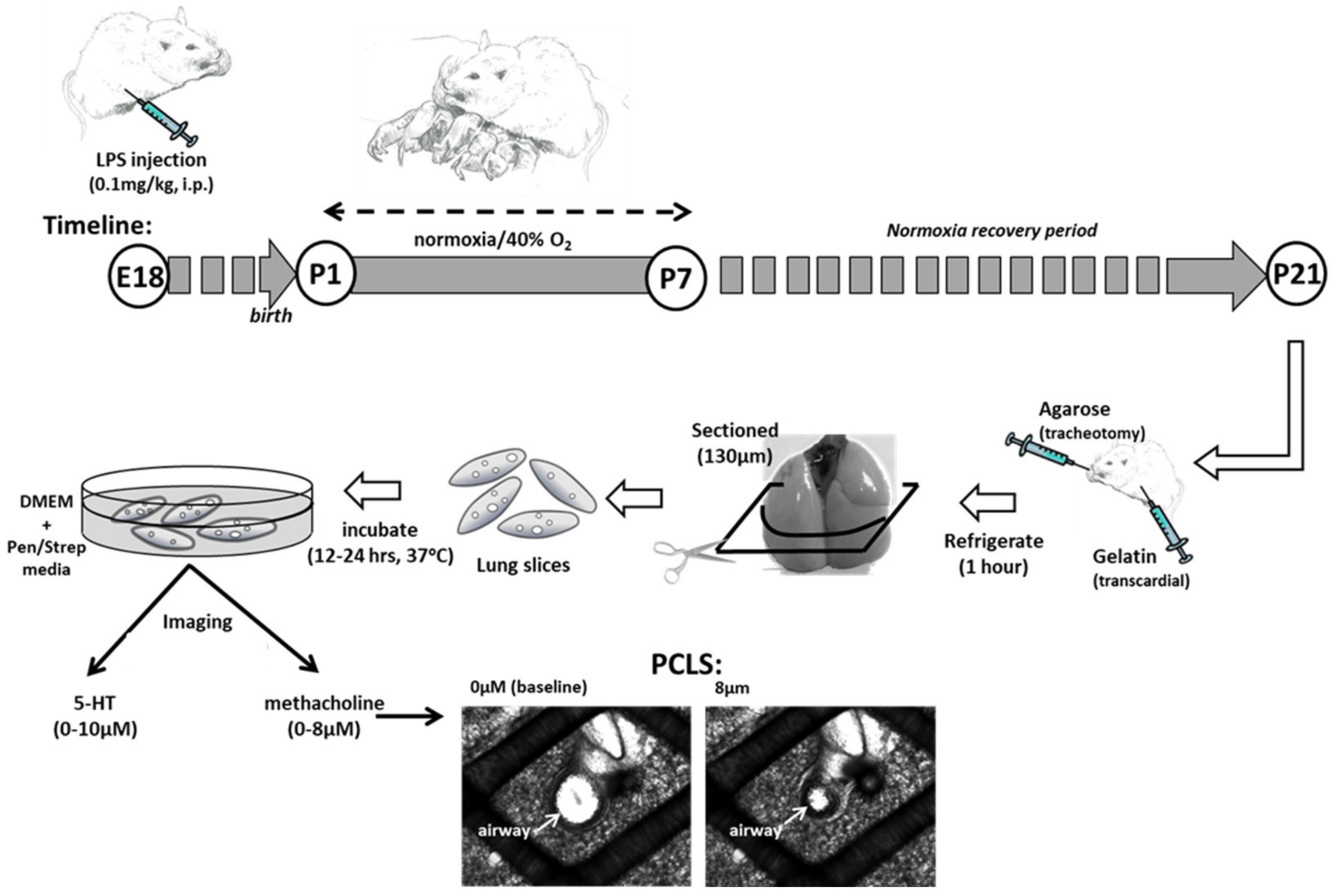 Children 08 00195 g001