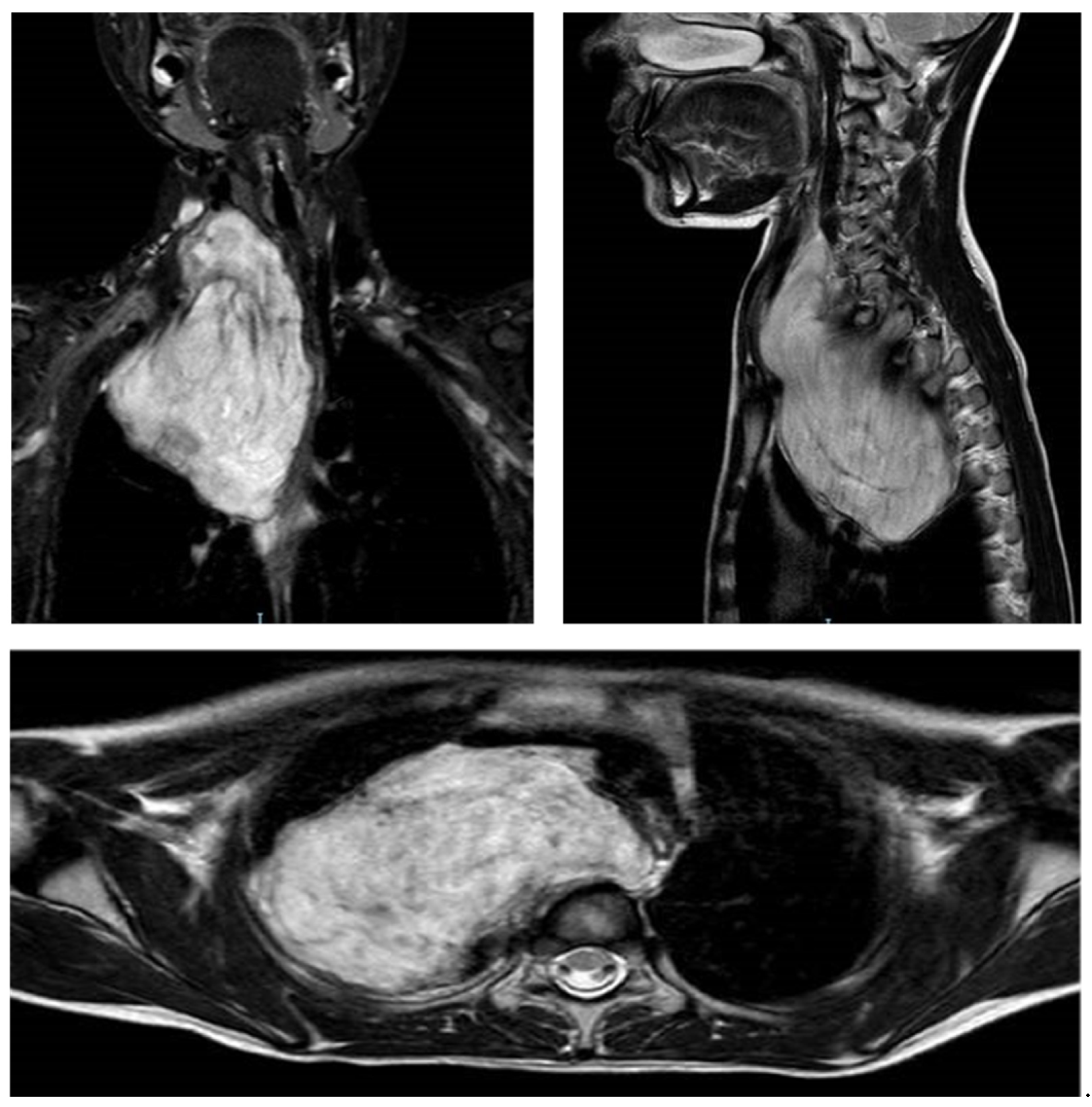 Children 08 00229 g001