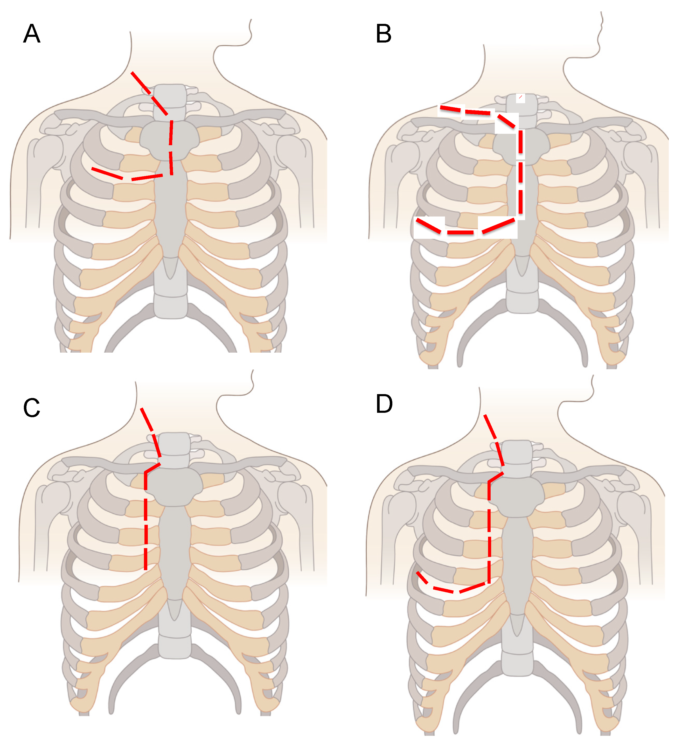 Children 08 00229 g002