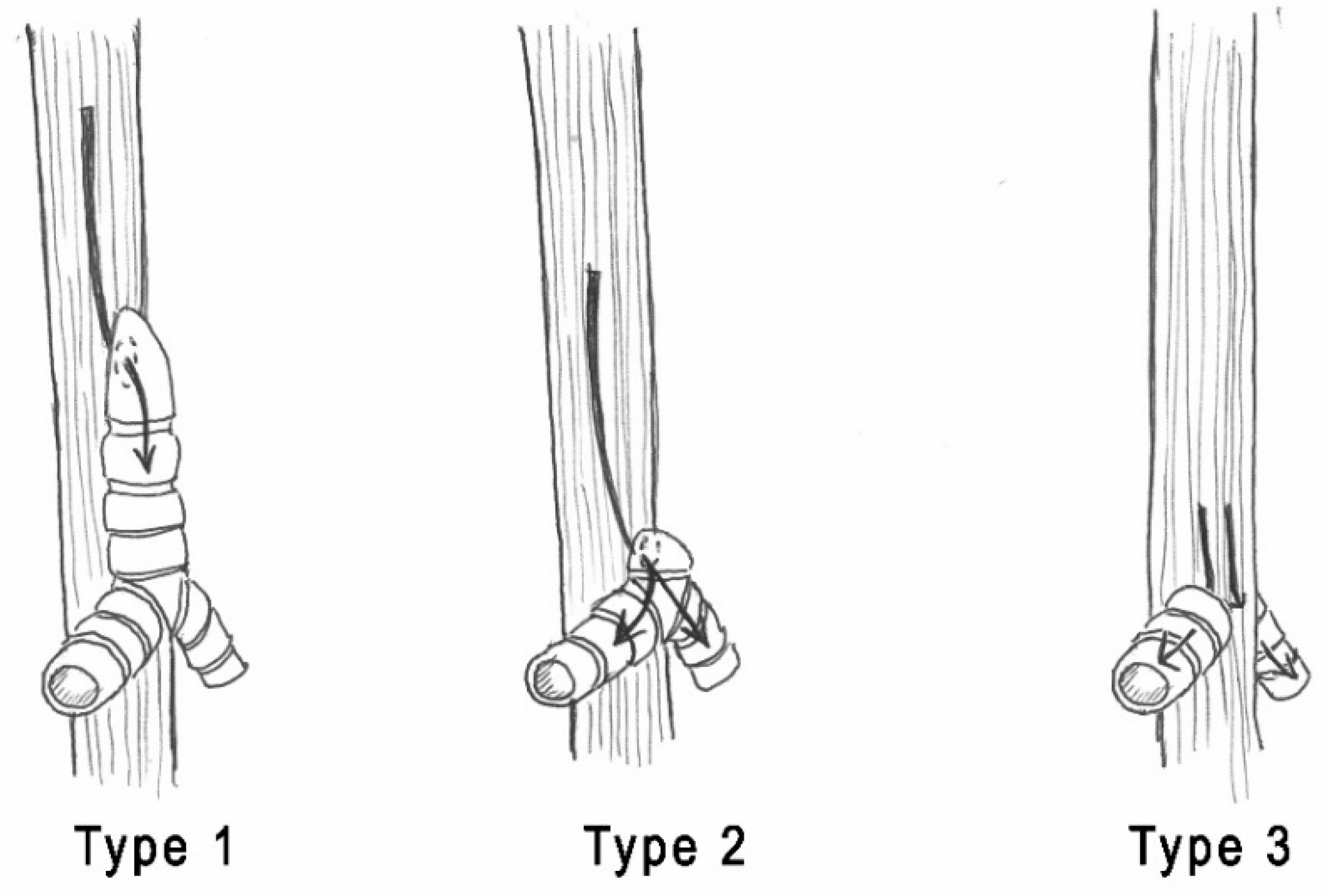 Children 08 00255 g001