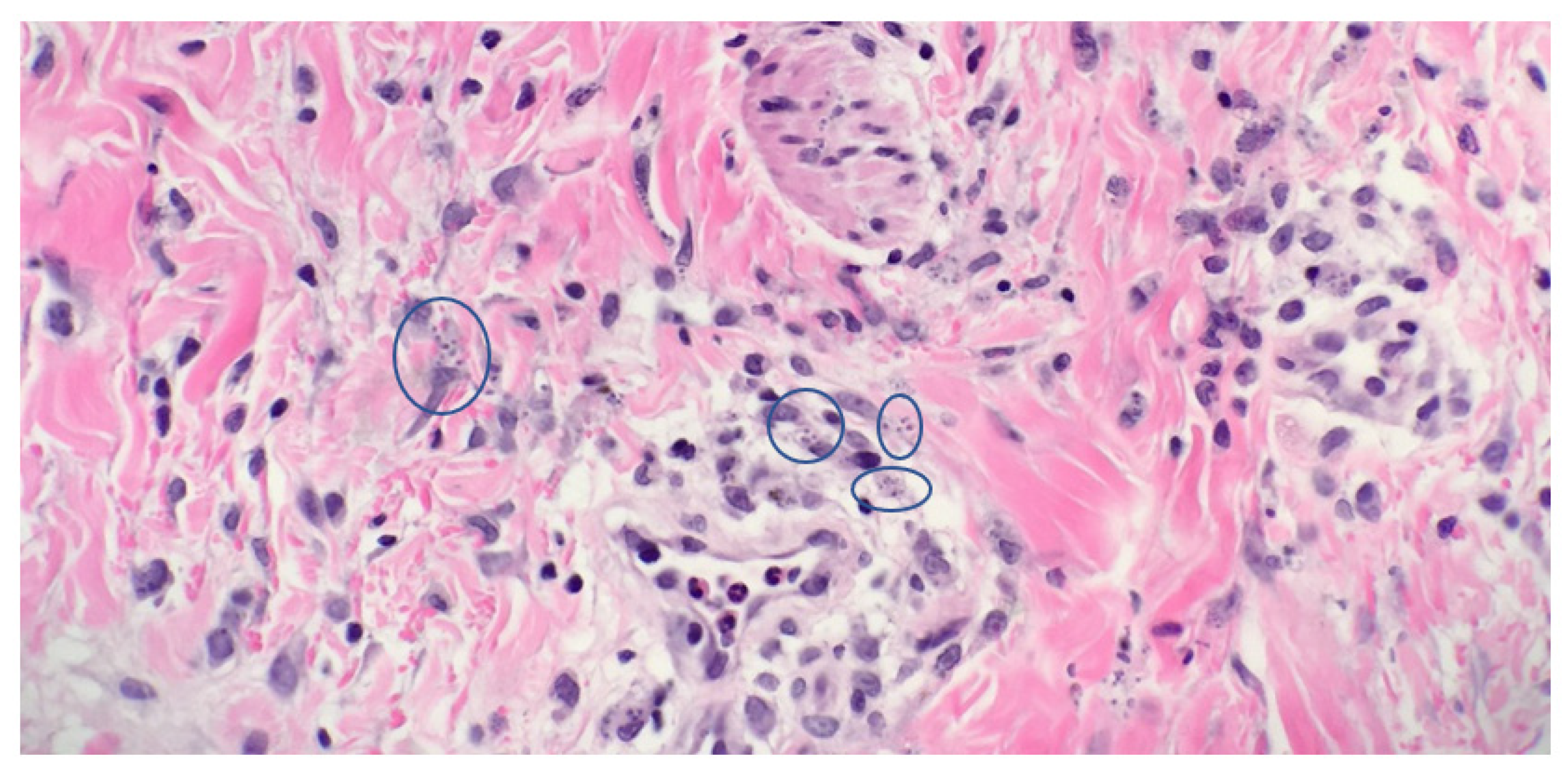 Children 08 00273 g002