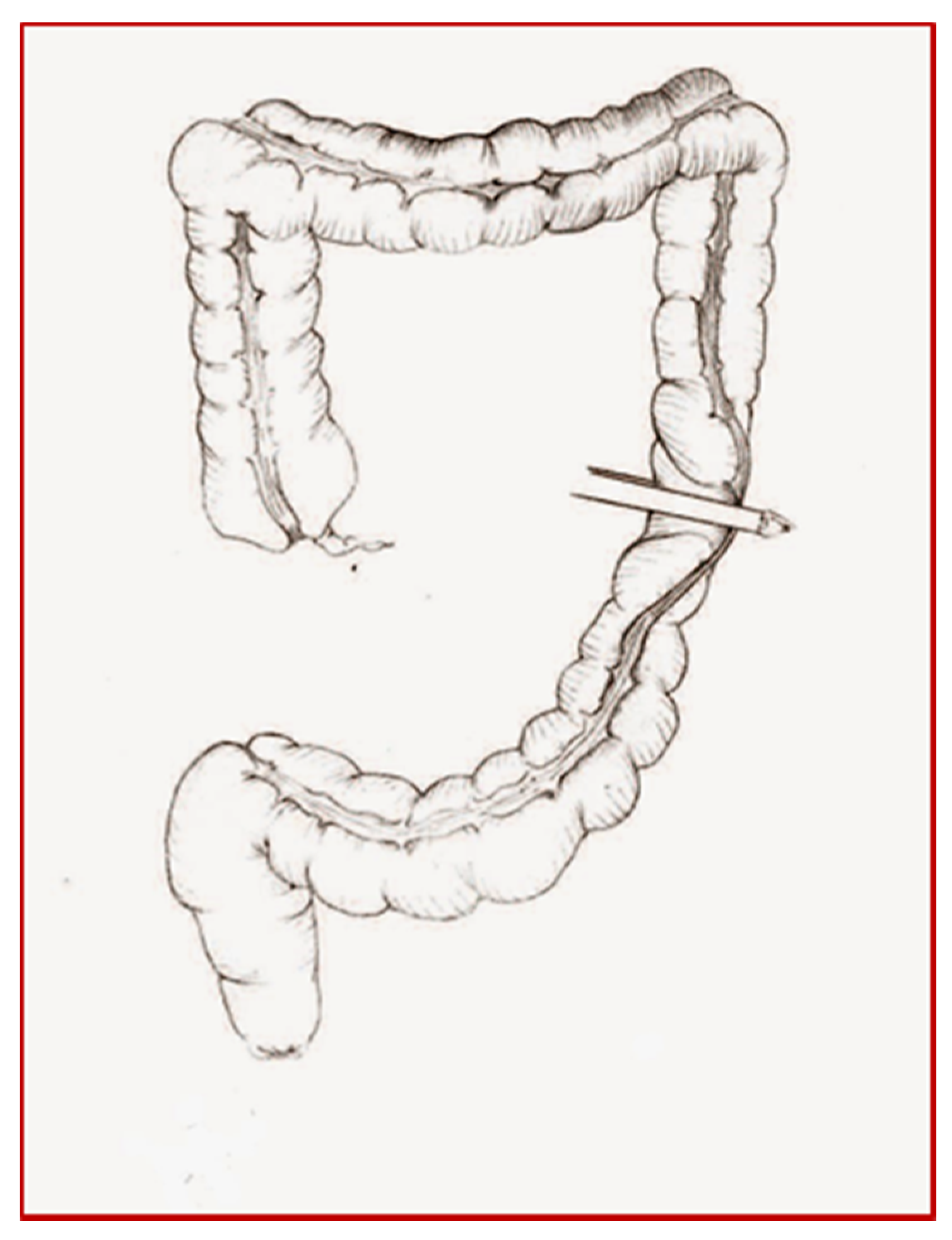 Children 08 00279 g003