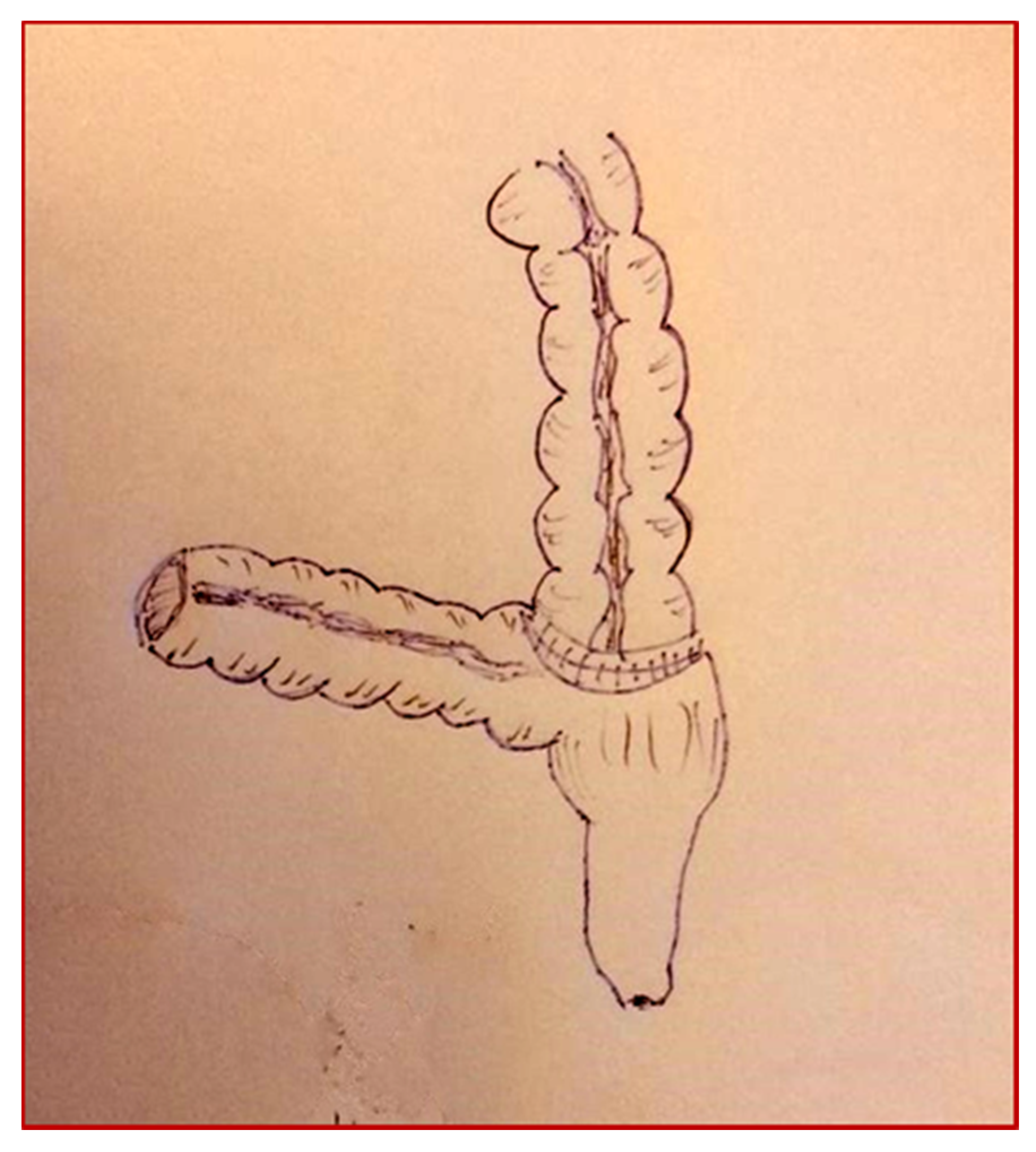 Children 08 00279 g004