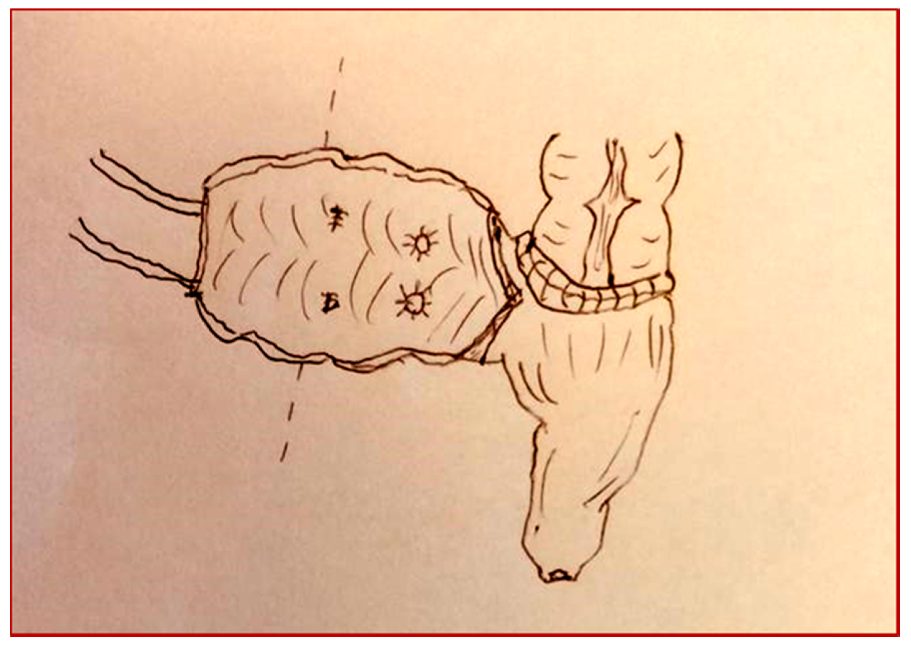 Children 08 00279 g006