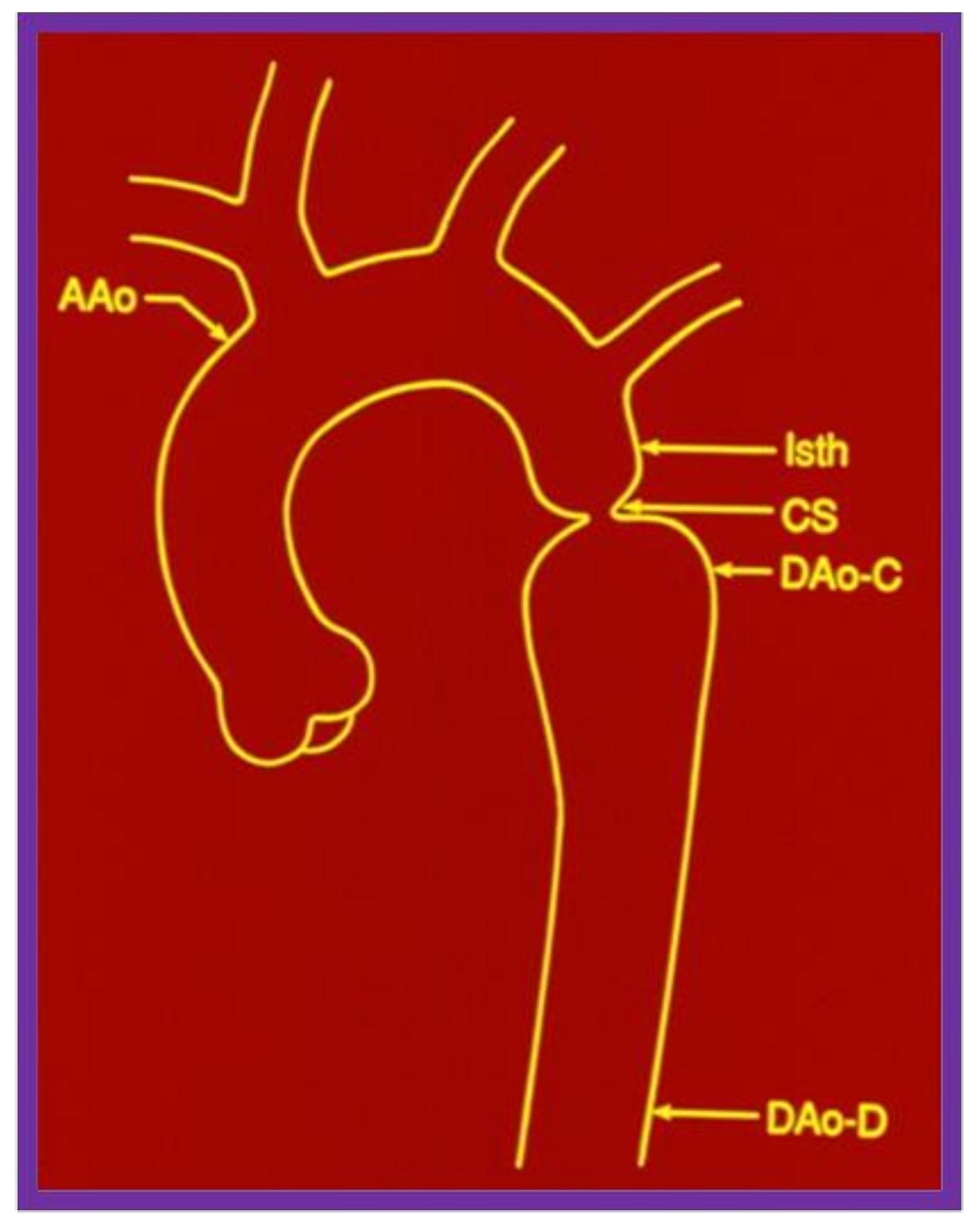 Children 08 00296 g016