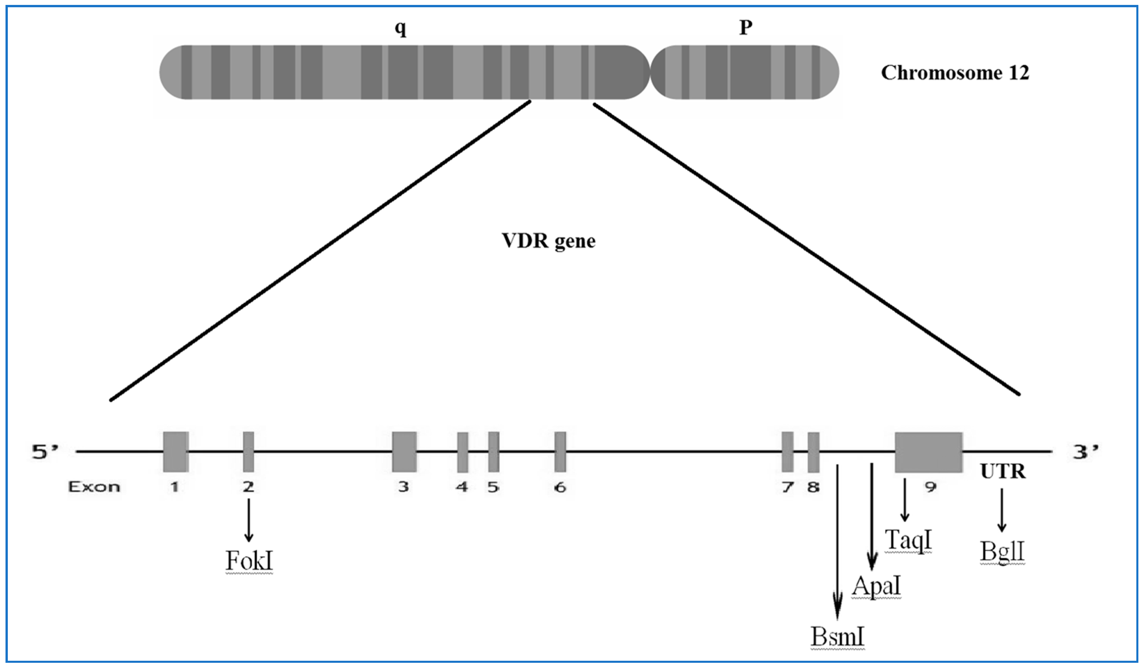 Children 08 00302 g003